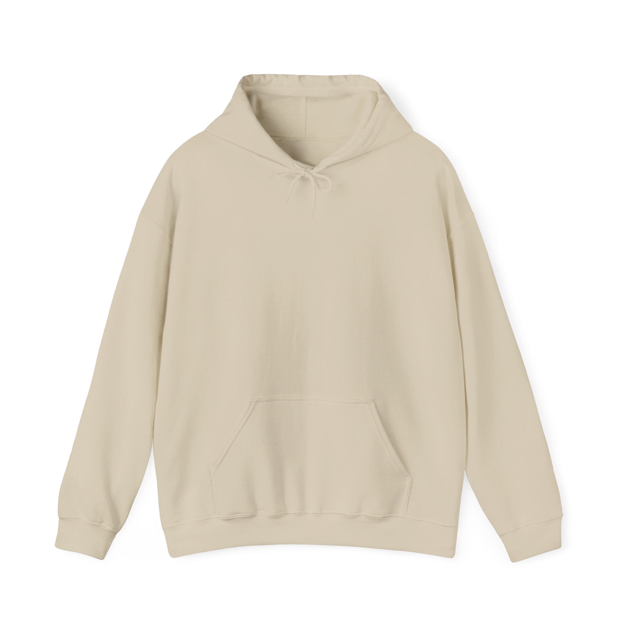Chile Concepcion South Mission Flag Title Back Hoodie