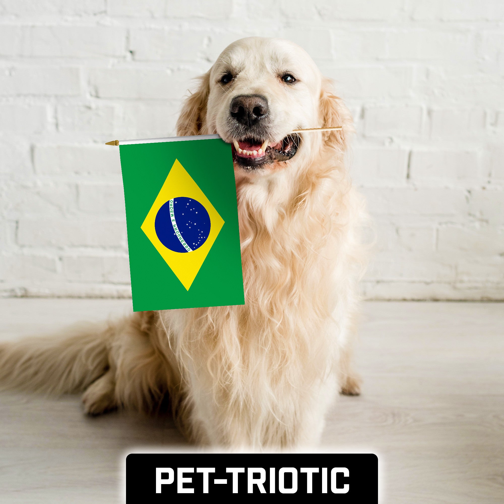 G128 12 Pack Handheld Brazil Brazilian Stick Flags | 12x18 In | Printed 150D Polyester, Country Flag, Solid Wooden Stick, Spear Gold Tip