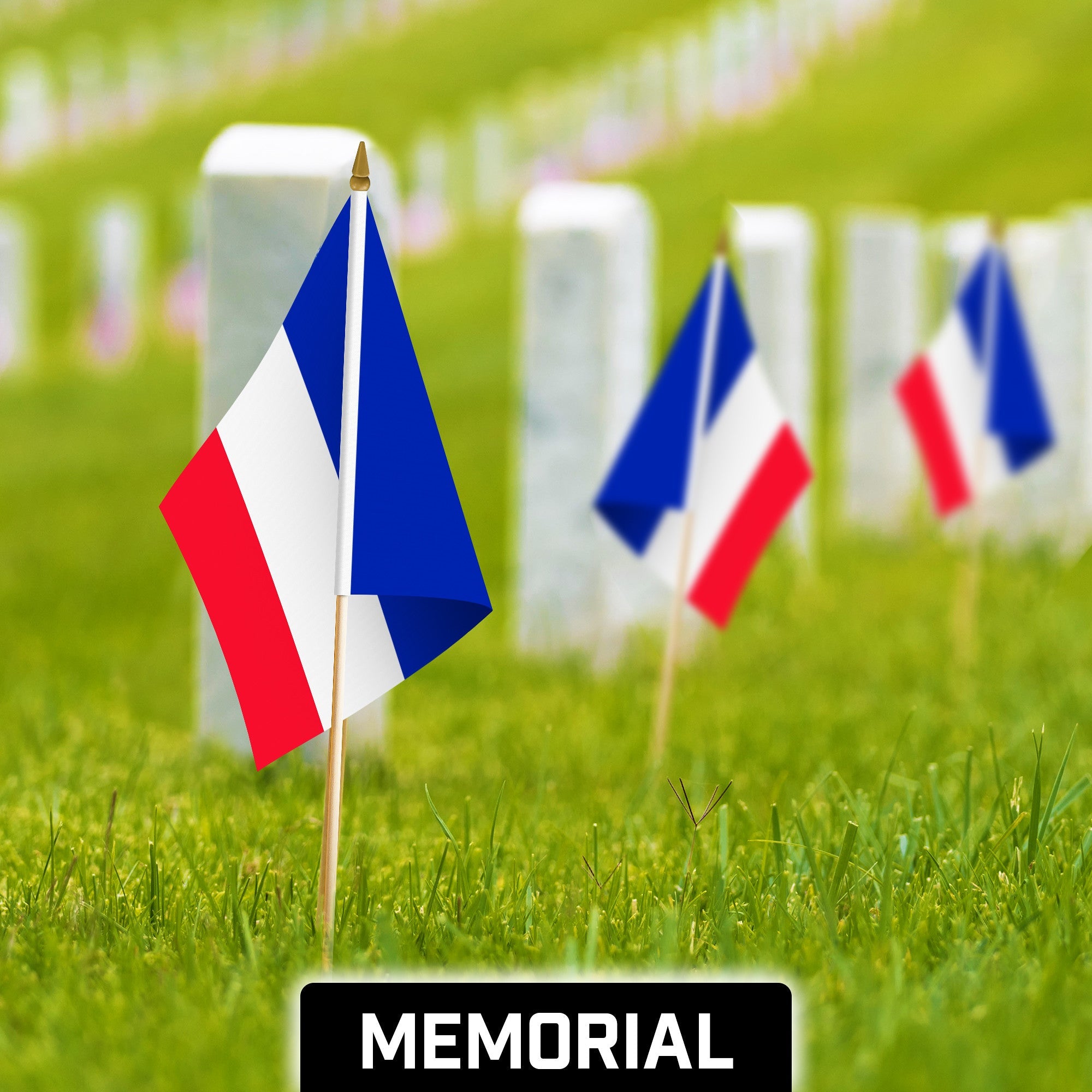 G128 50 Pack Handheld France French Stick Flags | 12x18 In | Printed 150D Polyester, Country Flag, Solid Wooden Stick, Spear Gold Tip