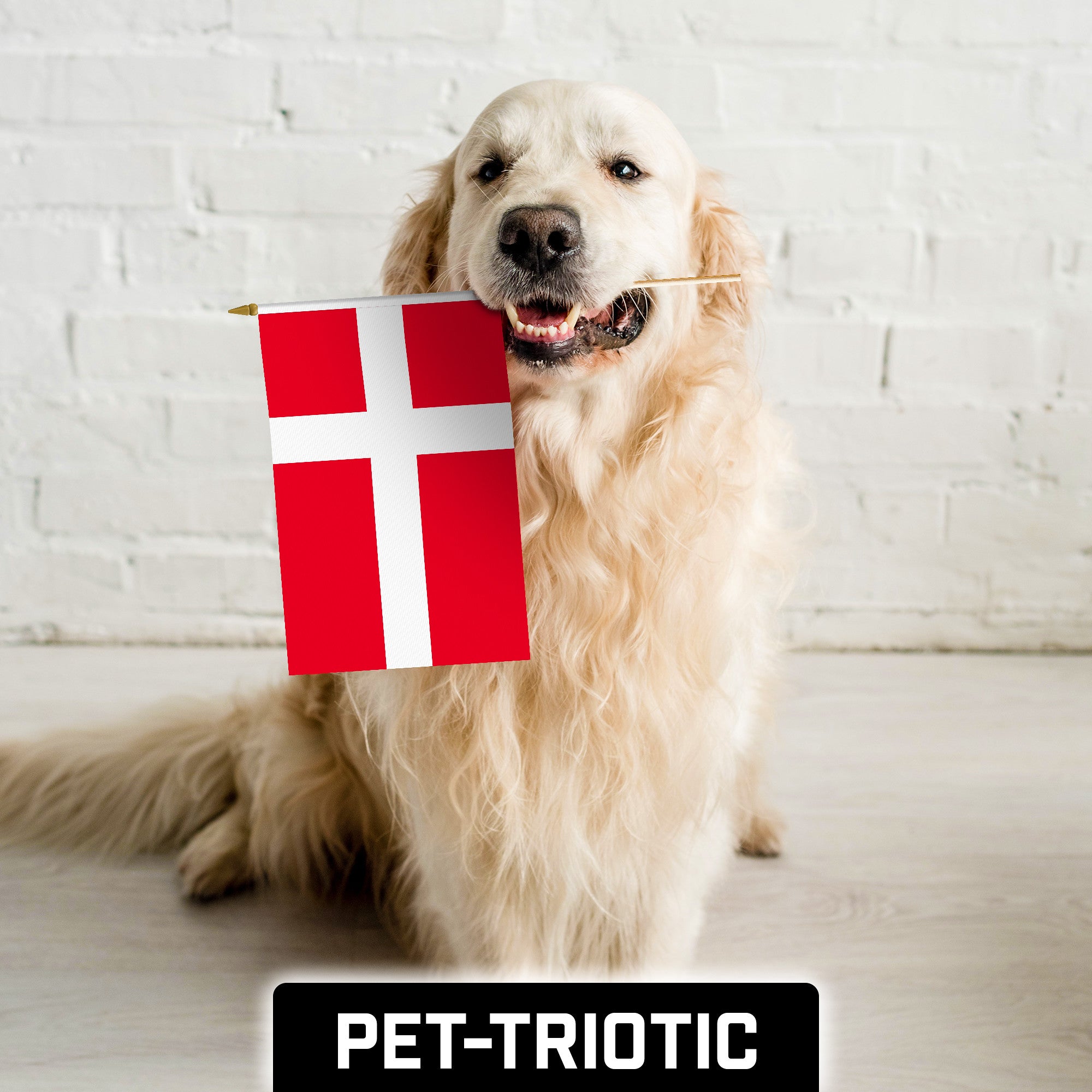 G128 30 Pack Handheld Denmark Danish Stick Flags | 12x18 In | Printed 150D Polyester, Country Flag, Solid Wooden Stick, Spear Gold Tip