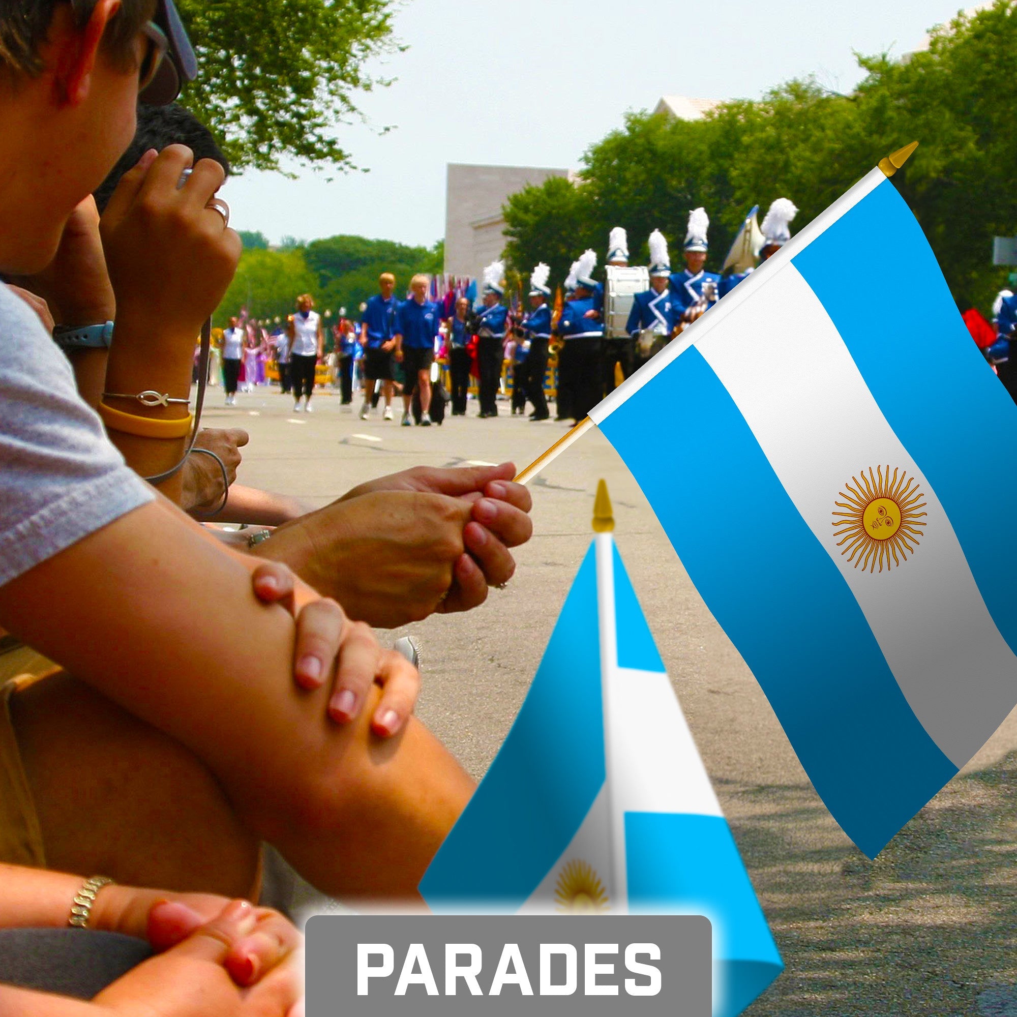12 Pack Handheld Argentina Argentinian Stick Flags | 8x12 In | Printed 150D Polyester, Country Flag, Solid Wooden Stick, Spear Gold Tip
