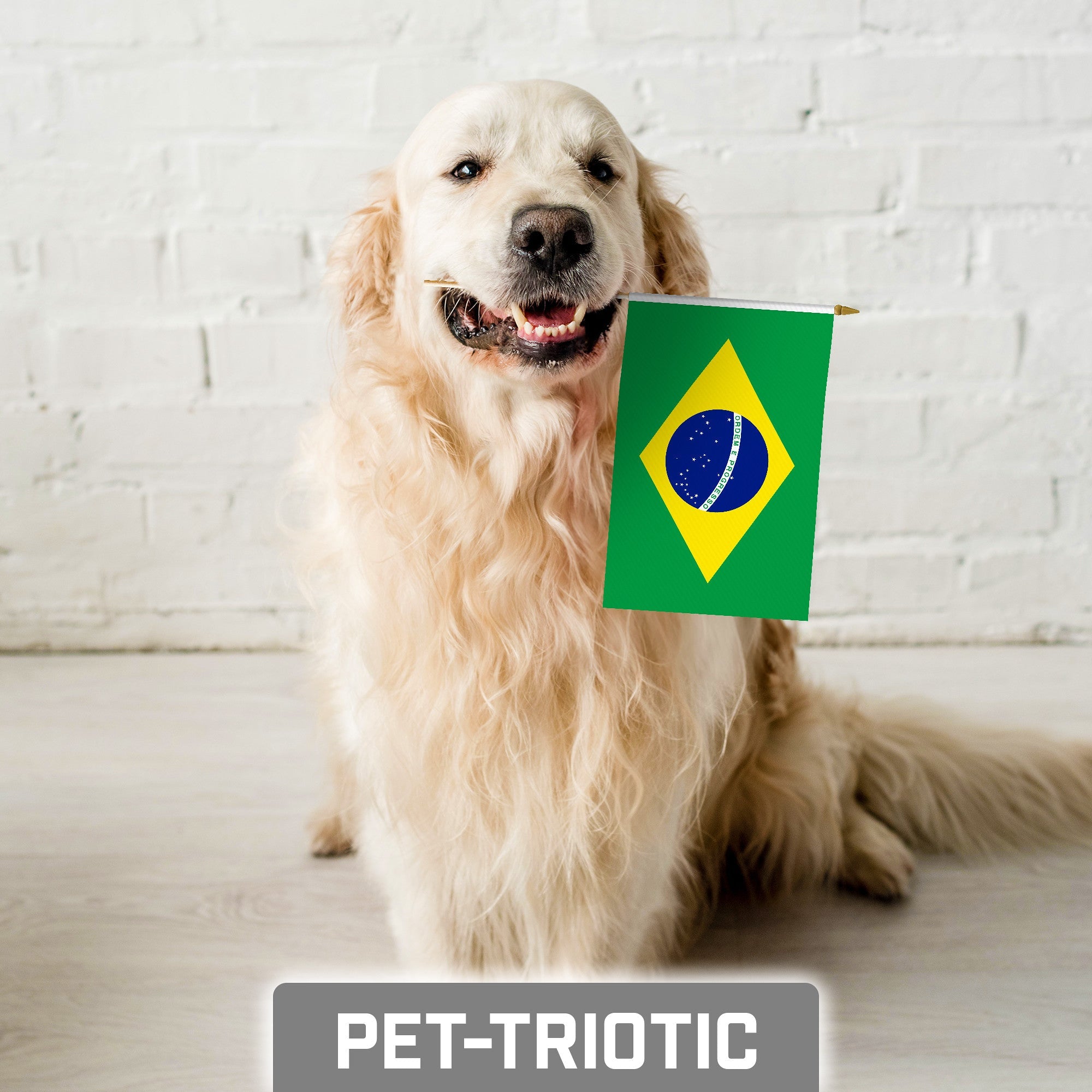 G128 50 Pack Handheld Brazil Brazilian Stick Flags | 8x12 In | Printed 150D Polyester, Country Flag, Solid Wooden Stick, Spear Gold Tip