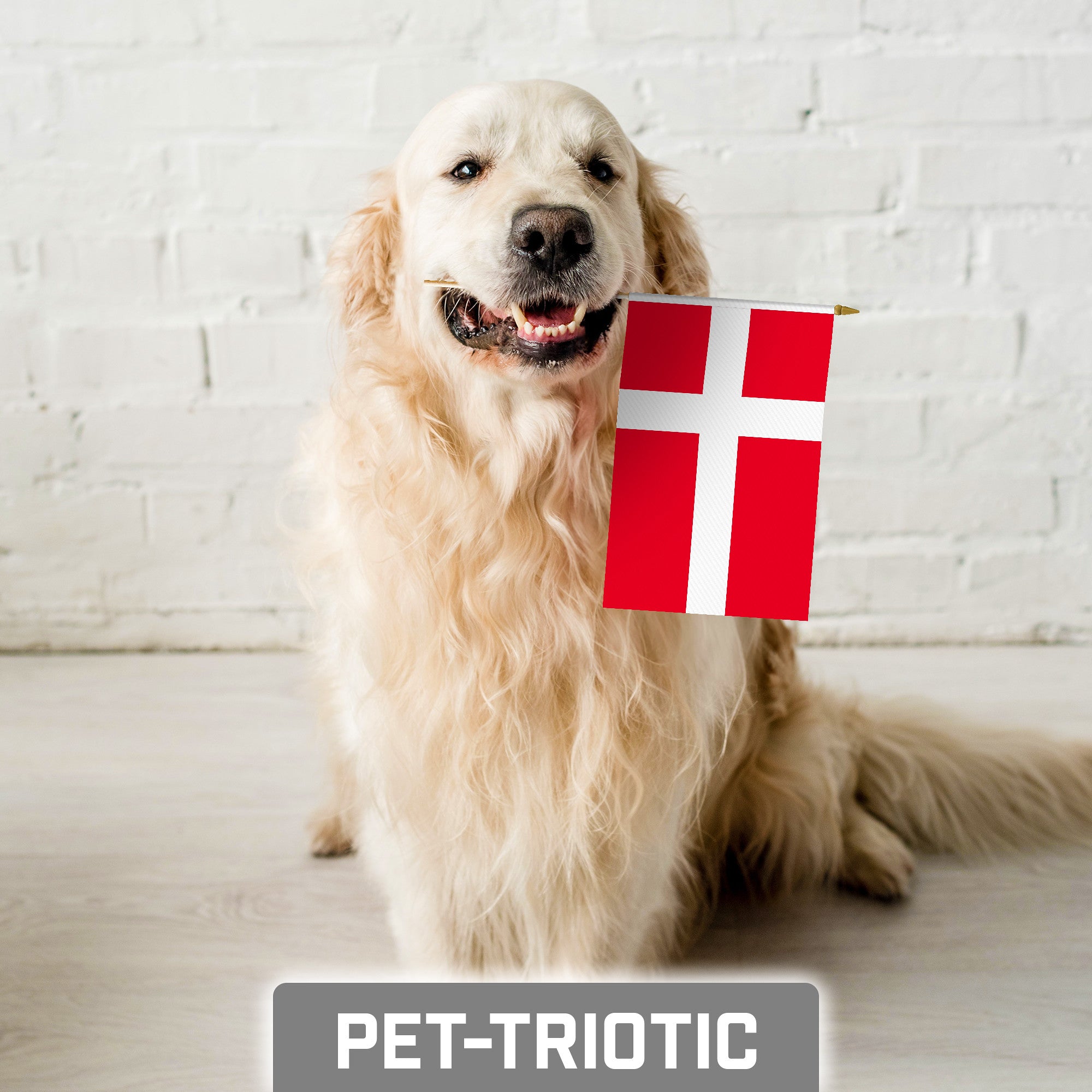 G128 30 Pack Handheld Denmark Danish Stick Flags | 8x12 In | Printed 150D Polyester, Country Flag, Solid Wooden Stick, Spear Gold Tip