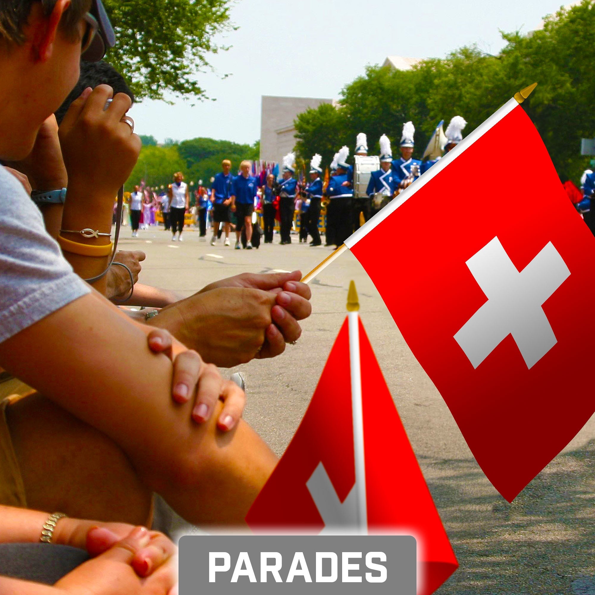 G128 30 Pack Handheld Switzerland Swiss Stick Flags | 8x12 In | Printed 150D Polyester, Country Flag, Solid Wooden Stick, Spear Gold Tip