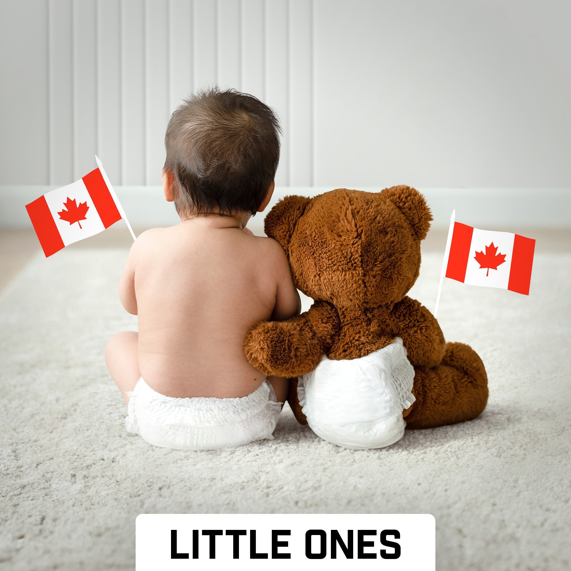 G128 24 Pack Handheld Canada Canadian Stick Flags | 4x6 In | Printed 150D Polyester, Country Flag, Solid Plastic Stick, Spear White Tip