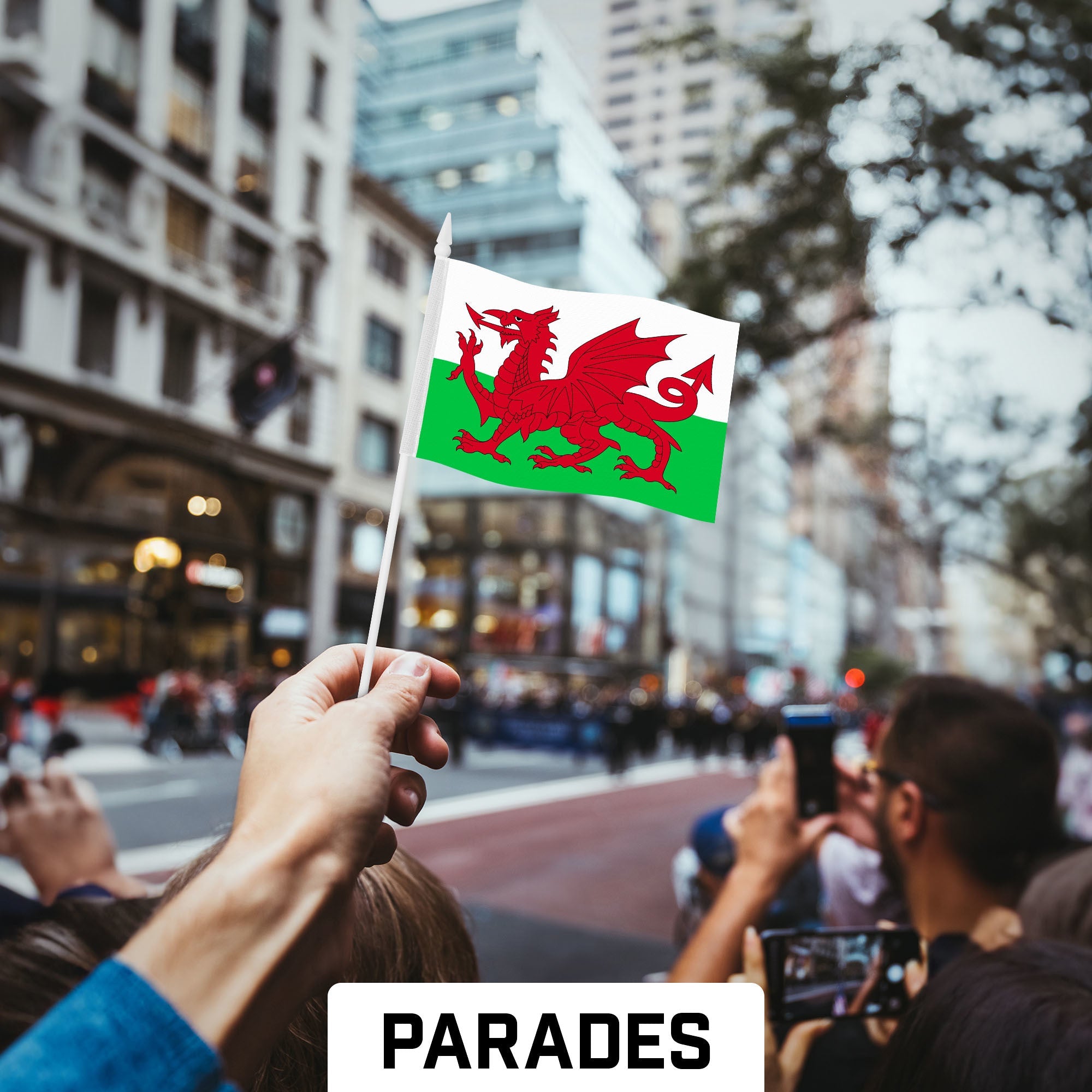 G128 30 Pack Handheld Wales Welsh Stick Flags | 4x6 In | Printed 150D Polyester, Country Flag, Solid Plastic Stick, Spear White Tip