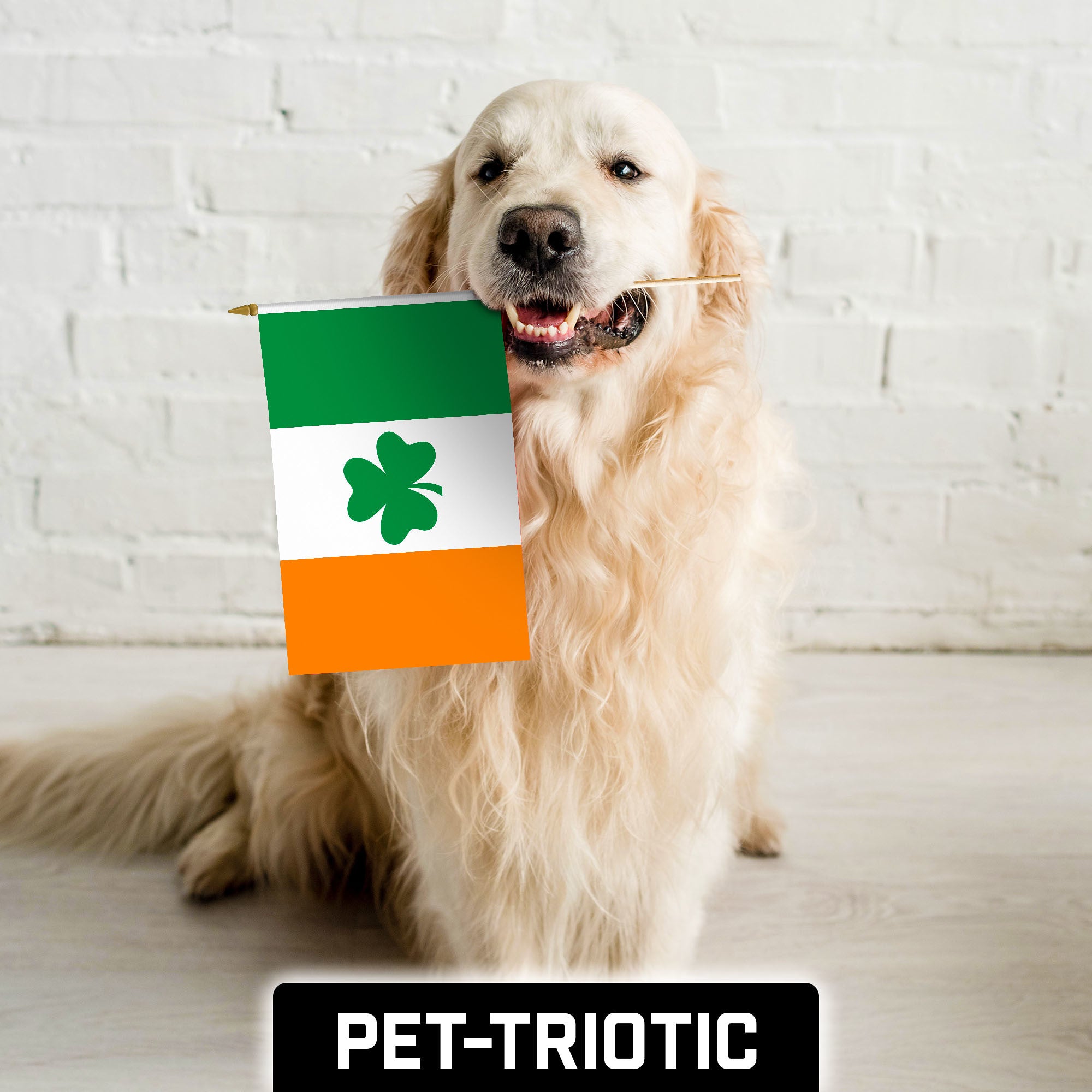 G128 50 Pack Handheld Ireland Shamrock Irish Stick Flags | 12x18 In | Printed 150D Polyester, Country Flag, Solid Wooden Stick, Spear Gold Tip