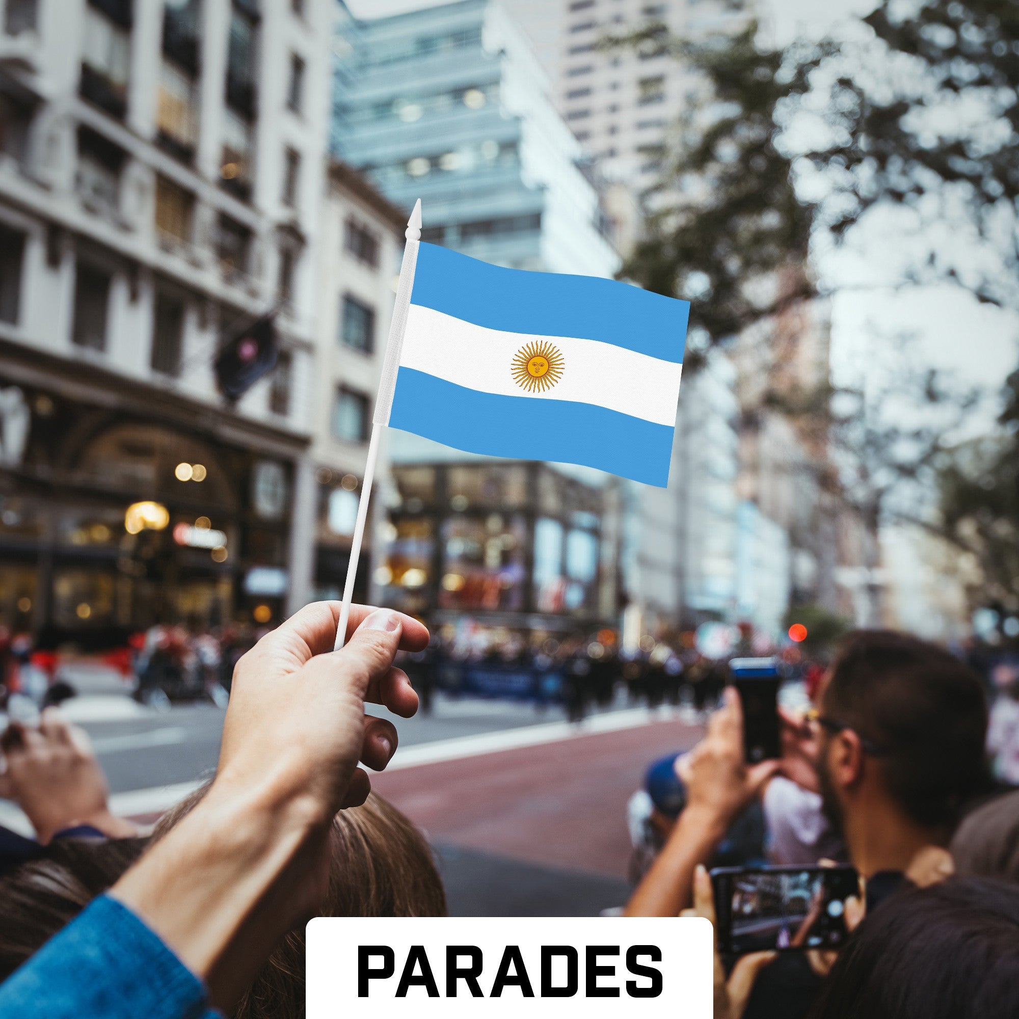 50 Pack Handheld Argentina Argentinian Stick Flags | 4x6 In | Printed 150D Polyester, Country Flag, Solid Plastic Stick, Spear White Tip
