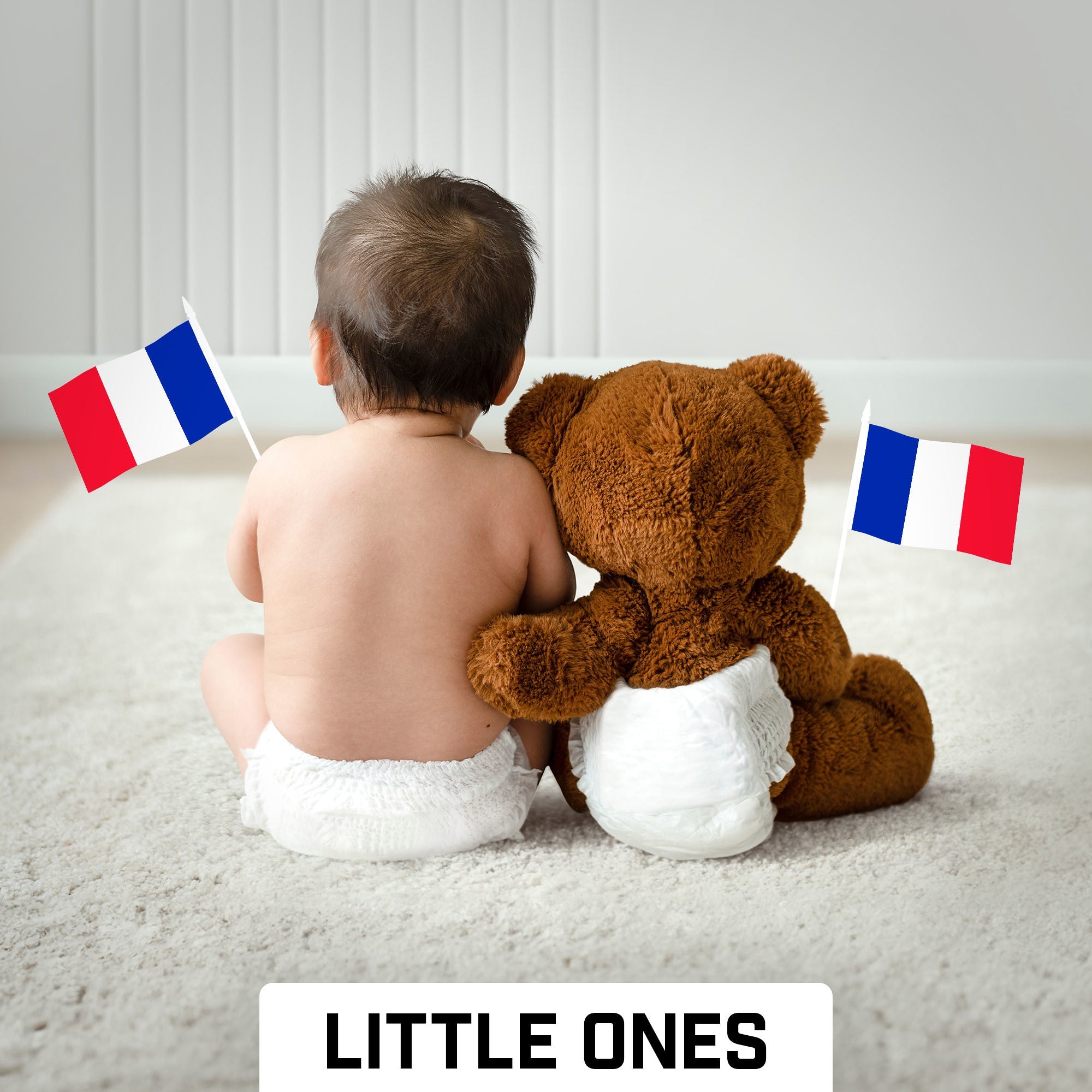 G128 50 Pack Handheld France French Stick Flags | 4x6 In | Printed 150D Polyester, Country Flag, Solid Plastic Stick, Spear White Tip