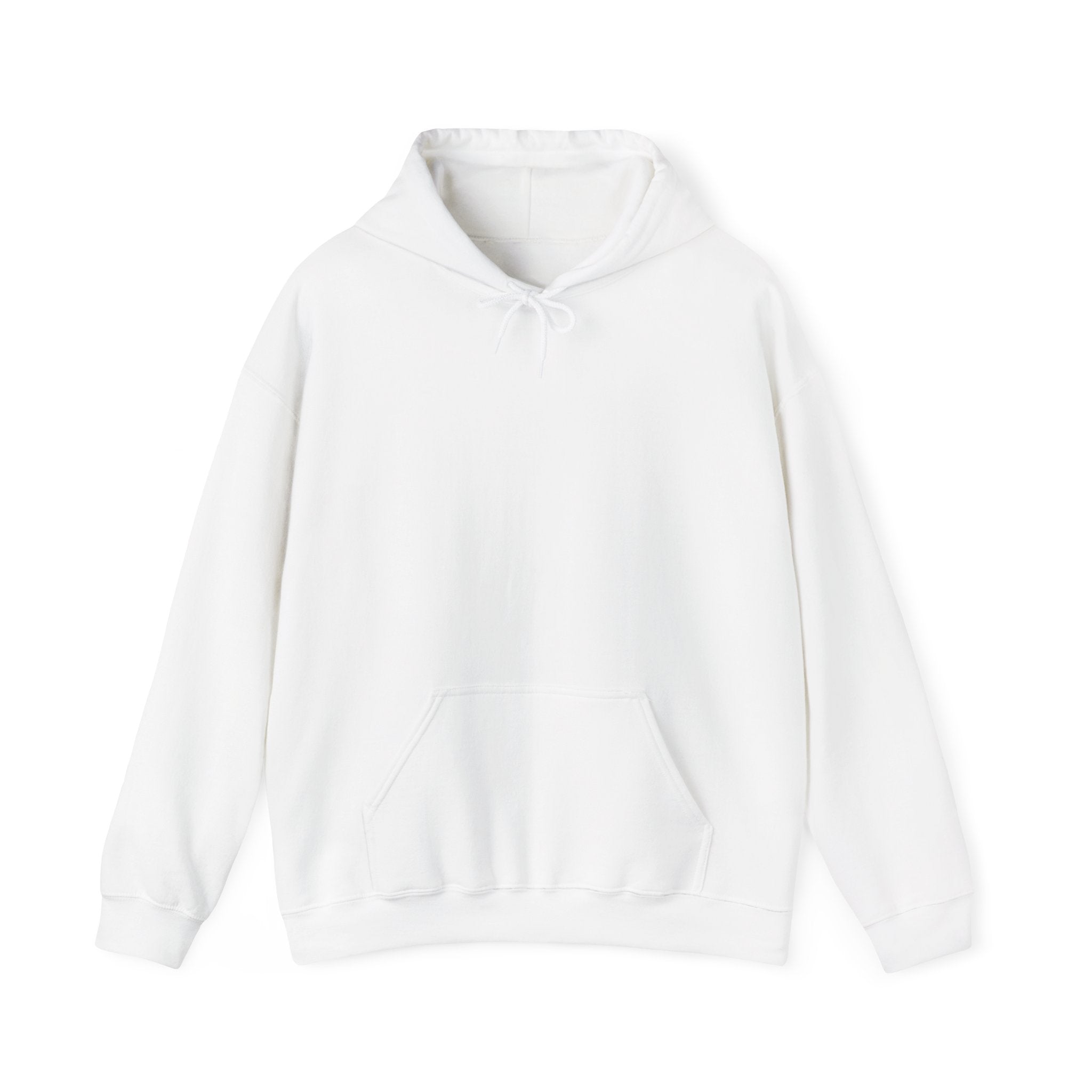 Argentina Santa Fe Mission Flag Title Back Hoodie