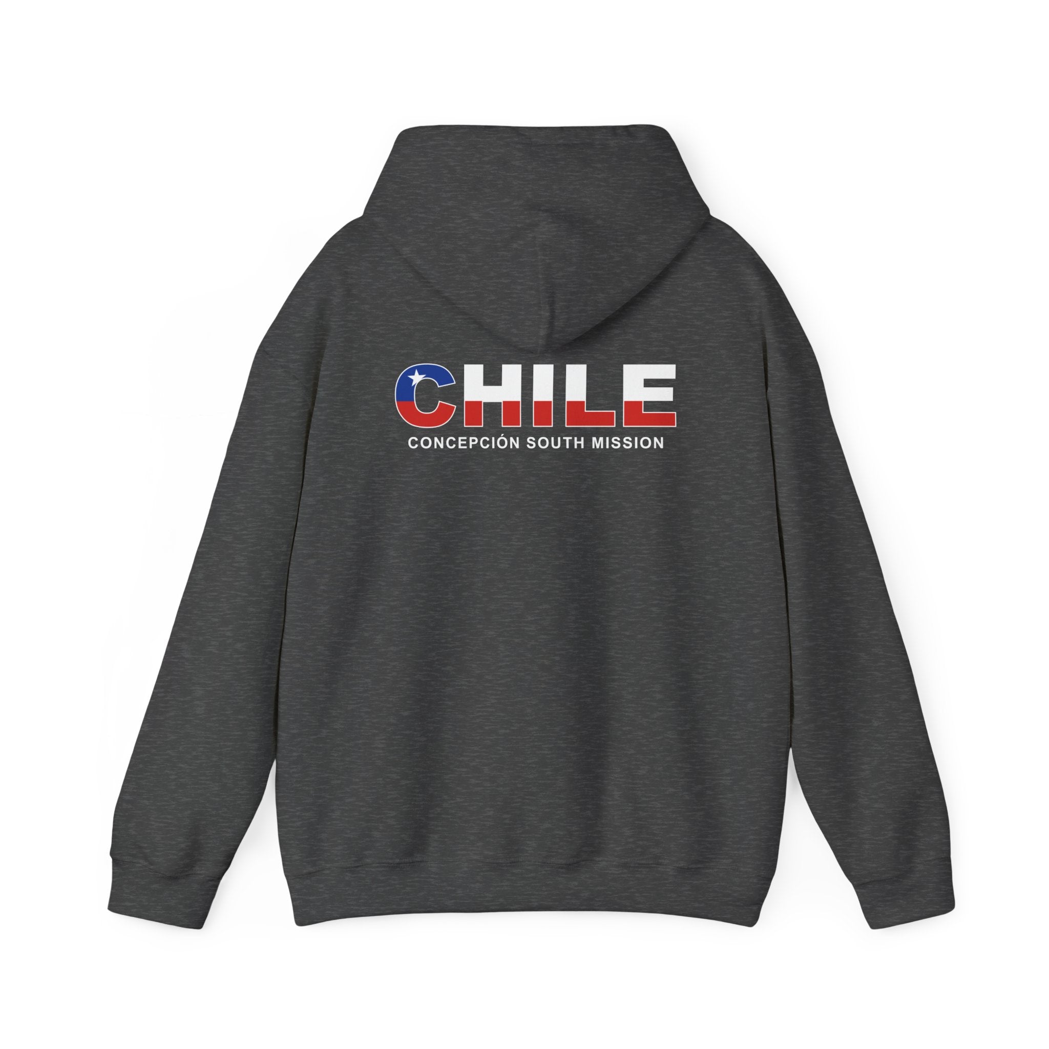 Chile Concepcion South Mission Flag Title Back Hoodie