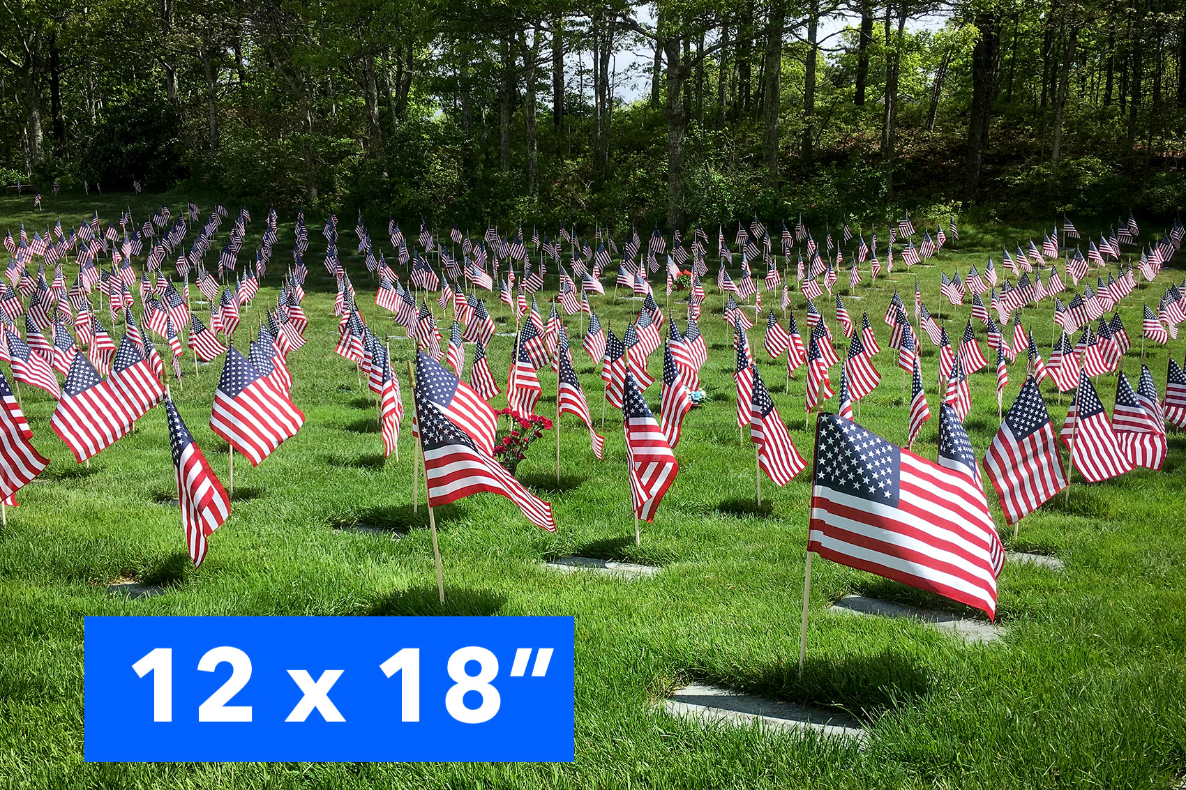 U.S. Stick Flags