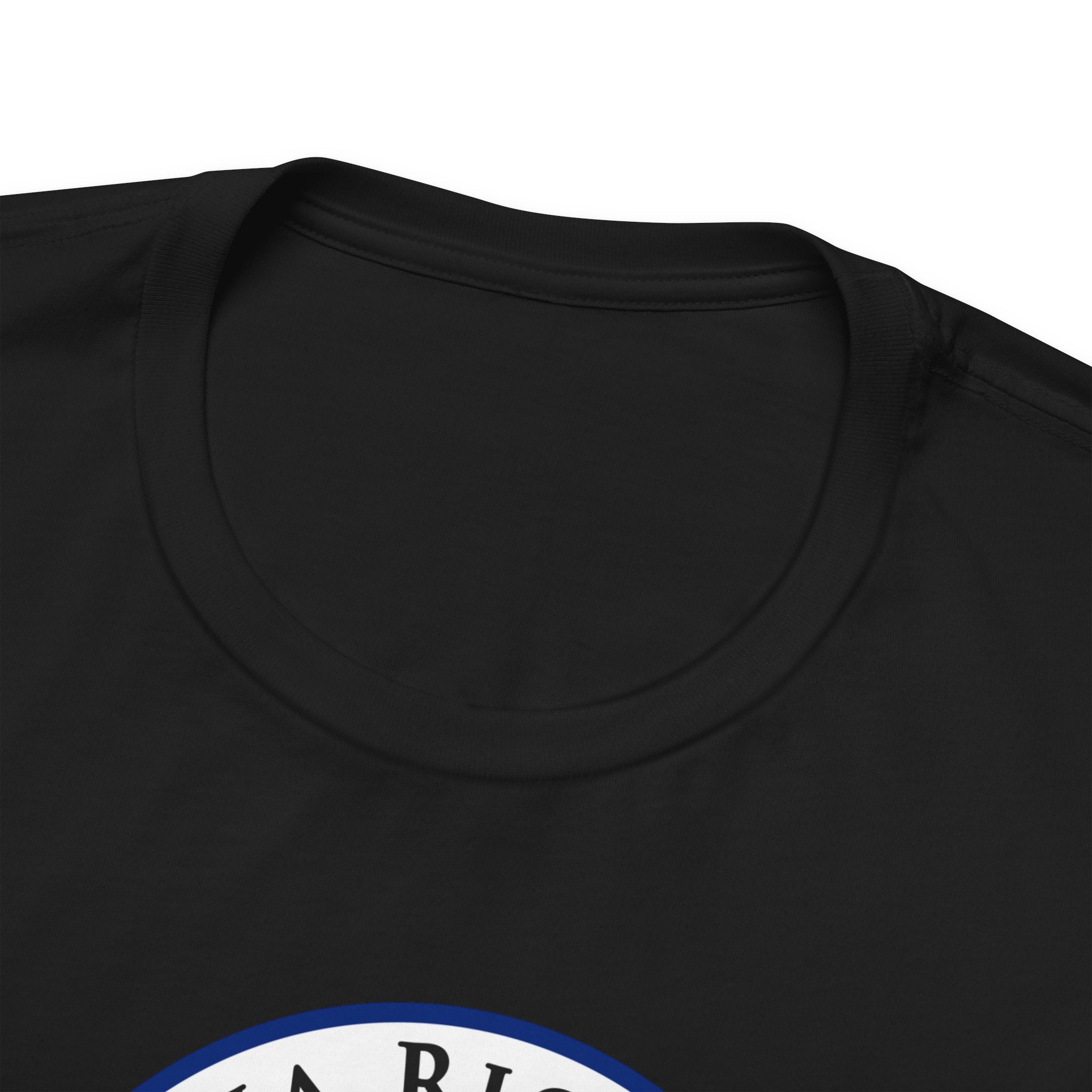 Virginia Richmond Mission State Flag Logo (White Border) T-shirt - Latter-Day Saint LDS Missionary Gift - Book of Mormon