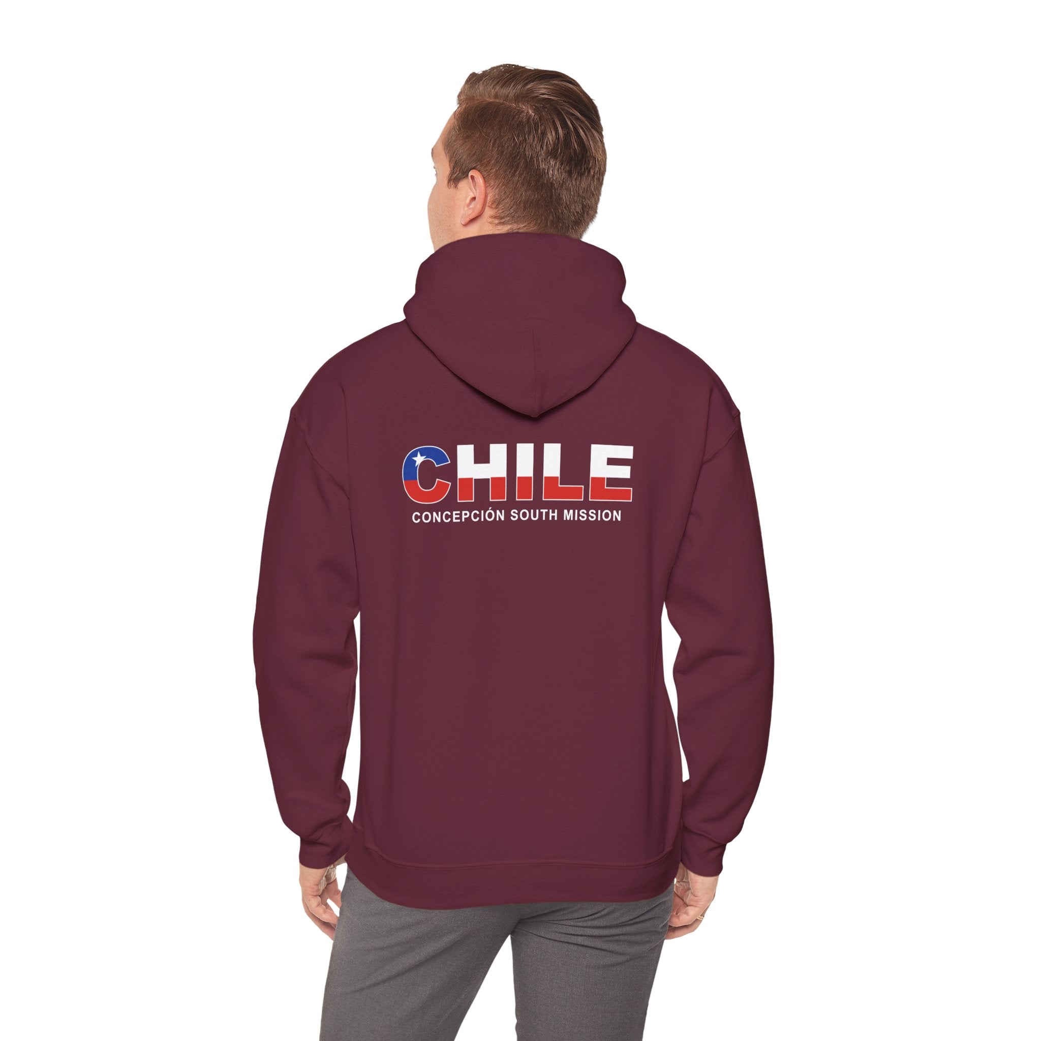 Chile Concepcion South Mission Flag Title Back Hoodie