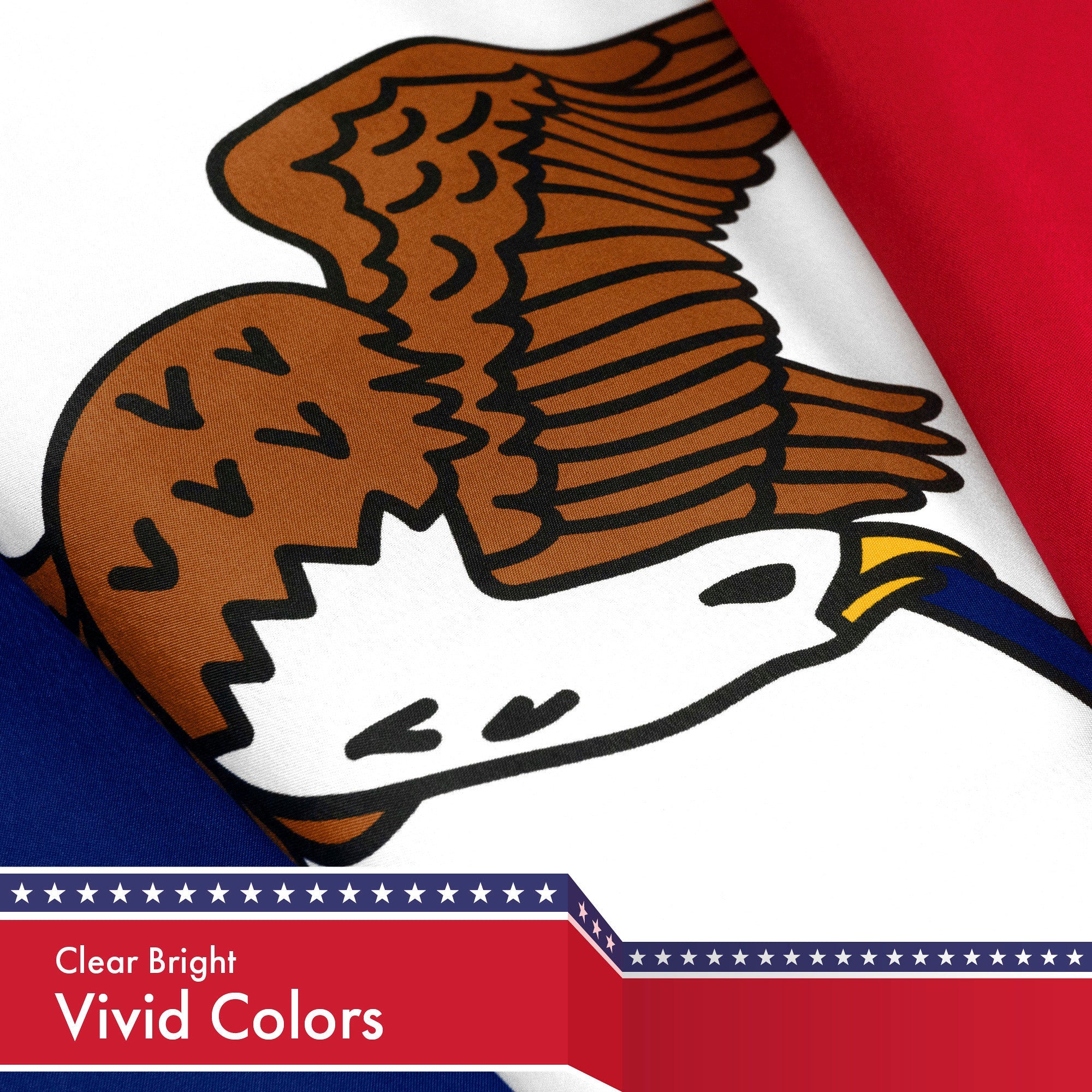 Iowa State Flag 150D Printed Polyester 3x5 Ft