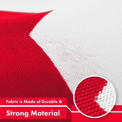 Tunisia (Tunisian) Flag 150D Printed Polyester 3x5 Ft