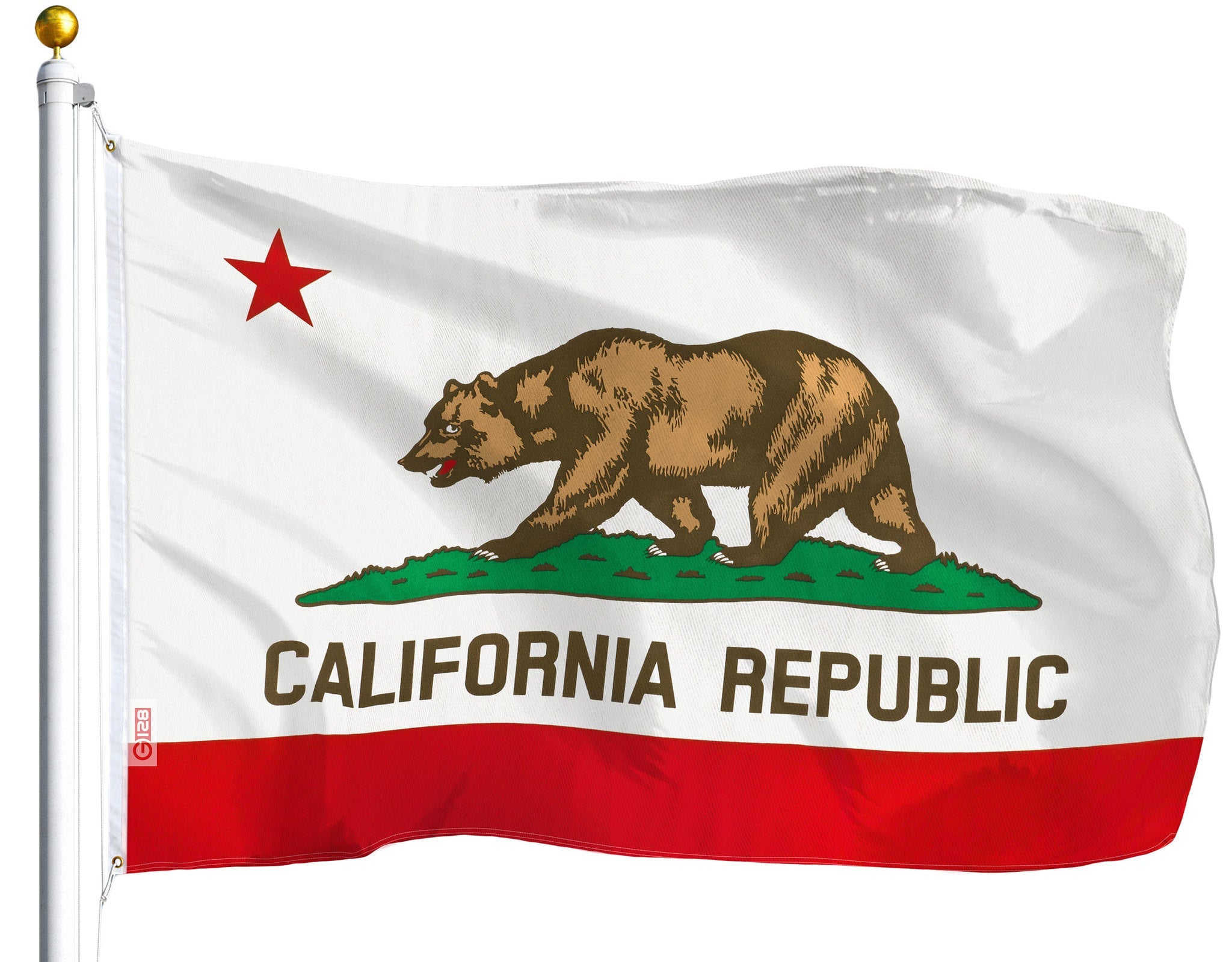 California State Flag 100D Printed Polyester 3x5 Ft