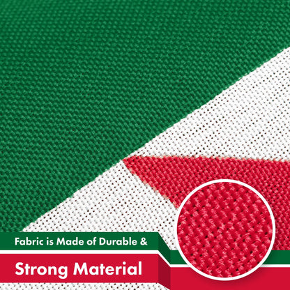 G128 Algeria Algerian Flag | 3x5 Ft | LiteWeave Pro Series Printed 150D Polyester | Country Flag, Indoor/Outdoor, Vibrant Colors, Brass Grommets, Thicker and More Durable Than 100D 75D Polyester