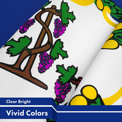 G128 Connecticut CT State Flag | 3x5 Ft | LiteWeave Pro Series Printed 150D Polyester | Indoor/Outdoor, Vibrant Colors, Brass Grommets, Thicker and More Durable Than 100D 75D Polyester