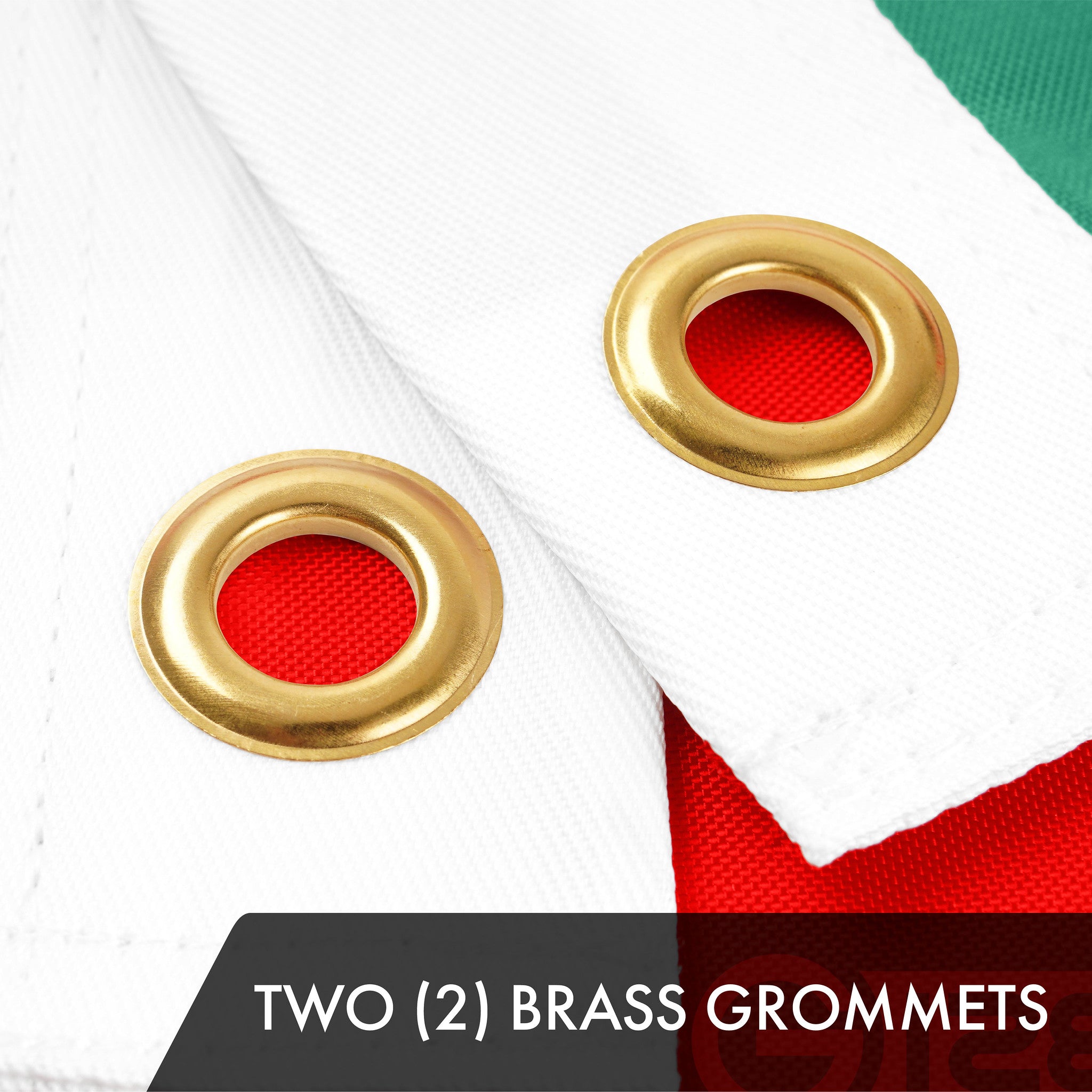 G128 Mexico Mexican Flag | 2.5x4 Ft | ToughWeave Series Embroidered 300D Polyester | Country Flag, Embroidered Design, Indoor/Outdoor, Brass Grommets