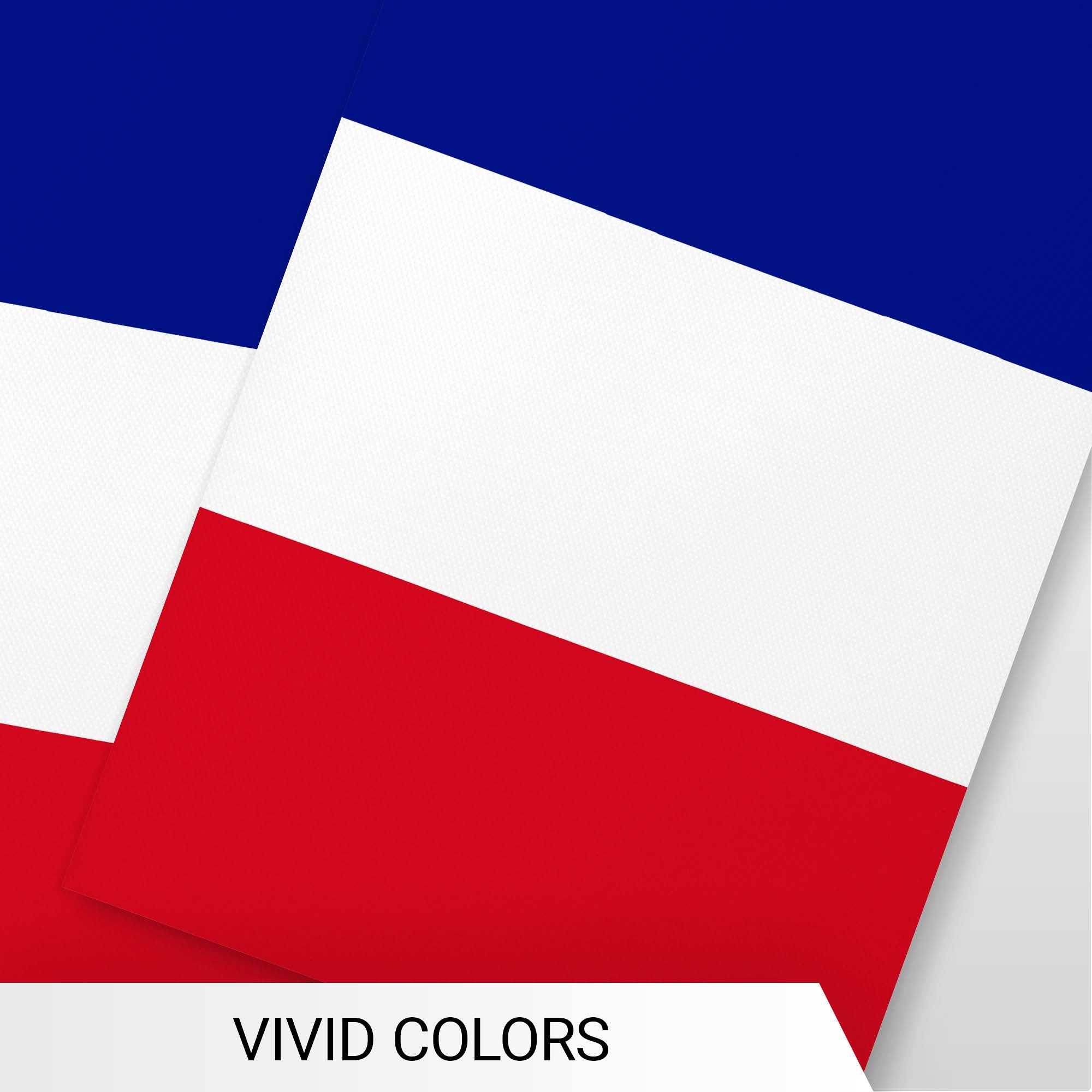 G128 France French Bunting Banner | Flag 8.2 x 5.5 Inch, Full String 33 Feet | Printed 150D Polyester, Decorations For Bar, School, Festival Events Celebration