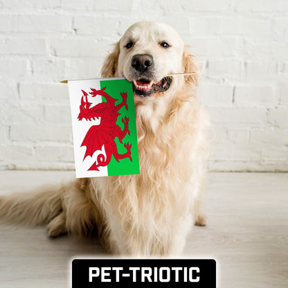 G128 30 Pack Handheld Wales Welsh Stick Flags | 12x18 In | Printed 150D Polyester, Country Flag, Solid Wooden Stick, Spear Gold Tip
