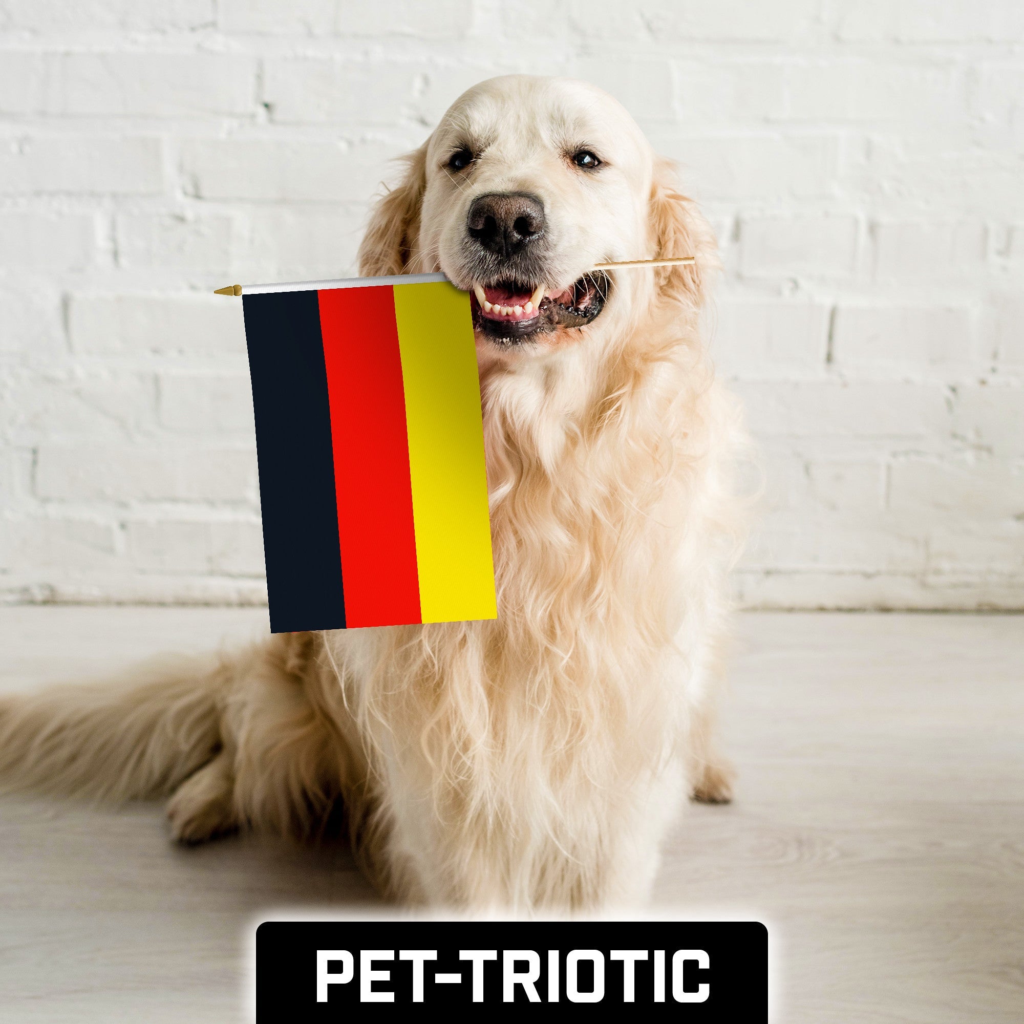 G128 30 Pack Handheld Germany German Stick Flags | 12x18 In | Printed 150D Polyester, Country Flag, Solid Wooden Stick, Spear Gold Tip