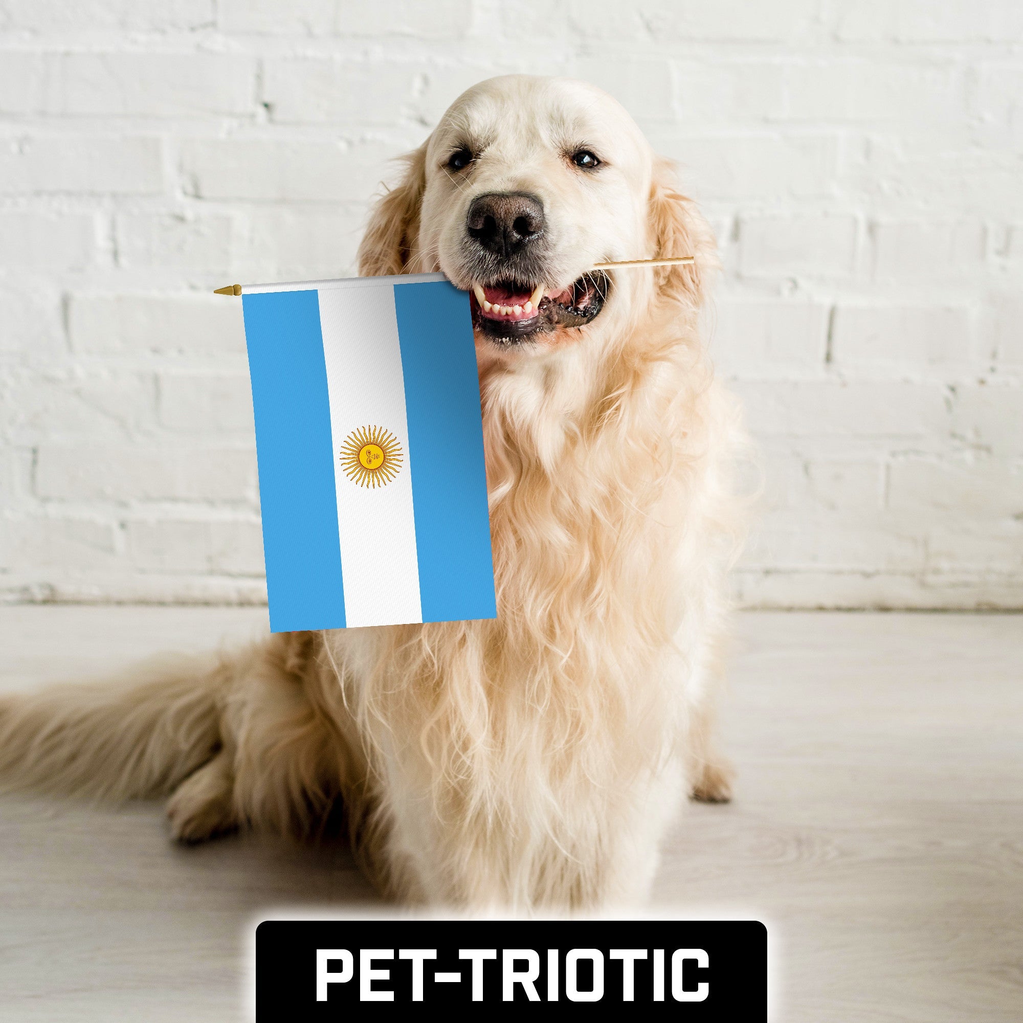 24 Pack Handheld Argentina Argentinian Stick Flags | 12x18 In | Printed 150D Polyester, Country Flag, Solid Wooden Stick, Spear Gold Tip