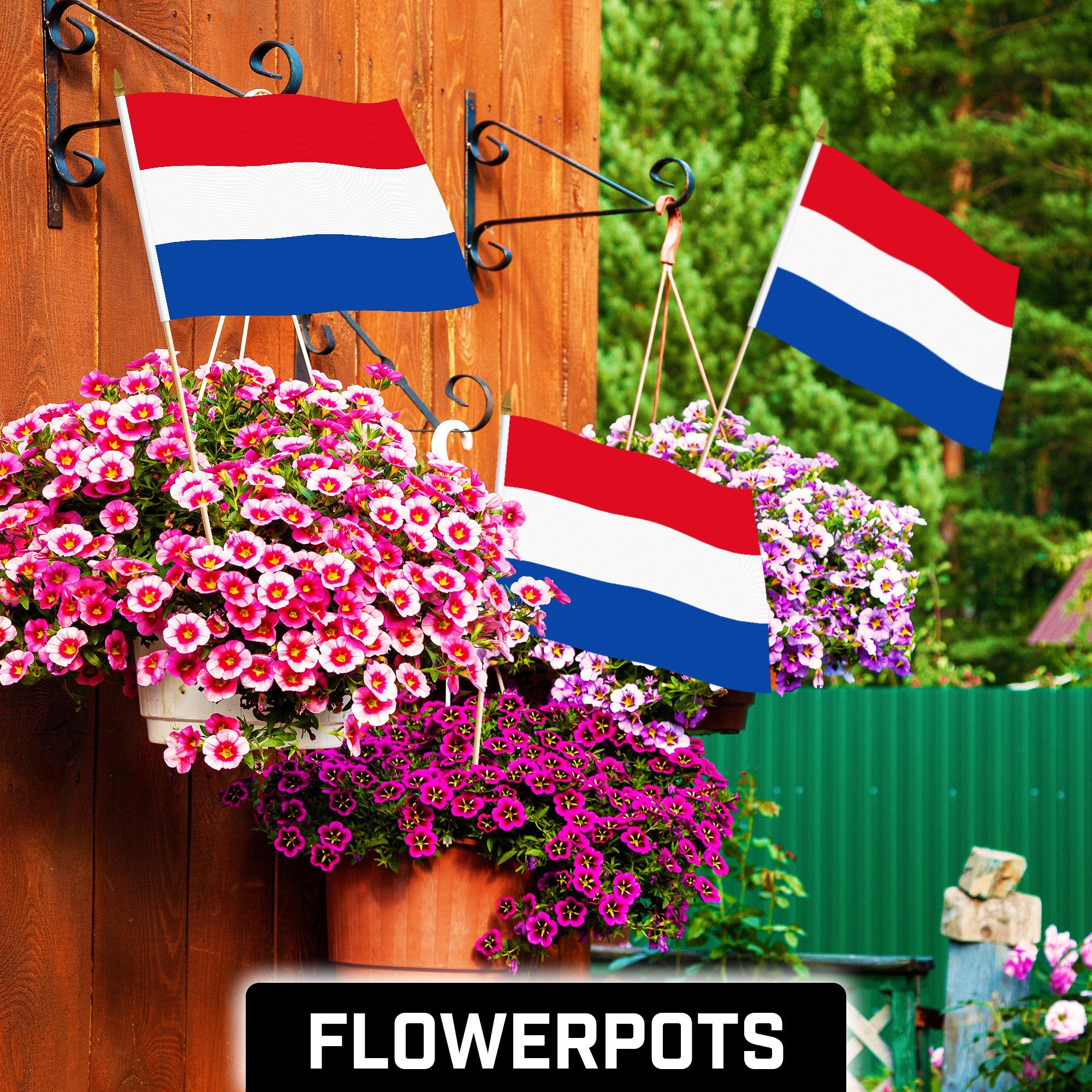 G128 50 Pack Handheld Netherlands Dutch Stick Flags | 12x18 In | Printed 150D Polyester, Country Flag, Solid Wooden Stick, Spear Gold Tip