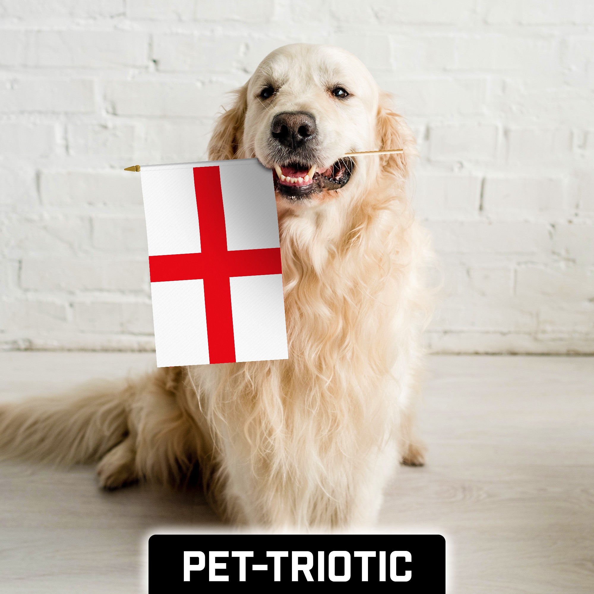 G128 24 Pack Handheld England English Stick Flags | 12x18 In | Printed 150D Polyester, Country Flag, Solid Wooden Stick, Spear Gold Tip
