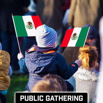G128 50 Pack Handheld Mexico Mexican Stick Flags | 12x18 In | Printed 150D Polyester, Country Flag, Solid Wooden Stick, Spear Gold Tip