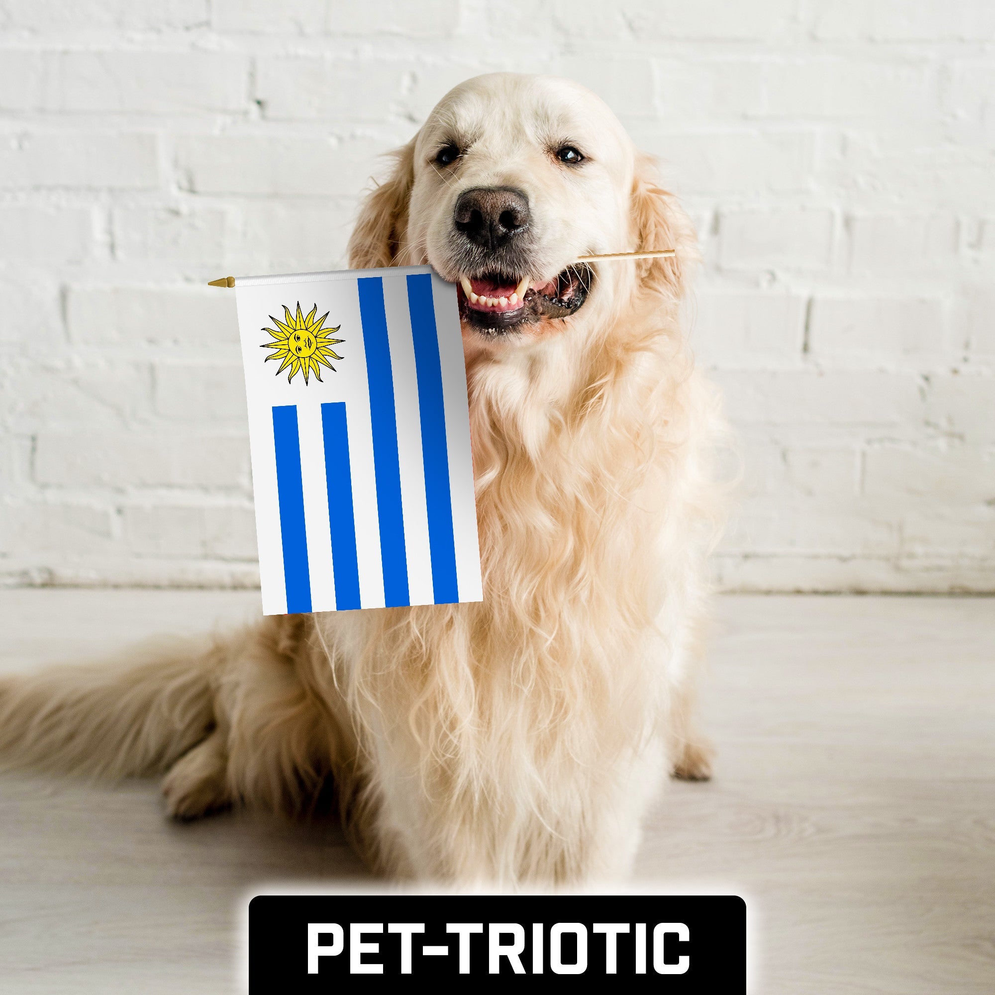 G128 12 Pack Handheld Uruguay Uruguayan Stick Flags | 12x18 In | Printed 150D Polyester, Country Flag, Solid Wooden Stick, Spear Gold Tip