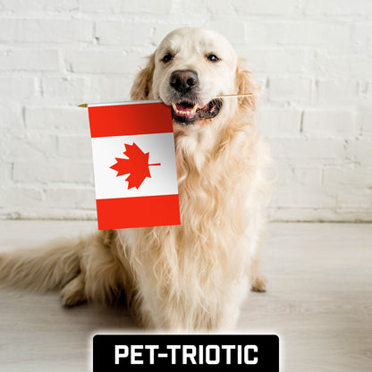 G128 50 Pack Handheld Canada Canadian Stick Flags | 12x18 In | Printed 150D Polyester, Country Flag, Solid Wooden Stick, Spear Gold Tip