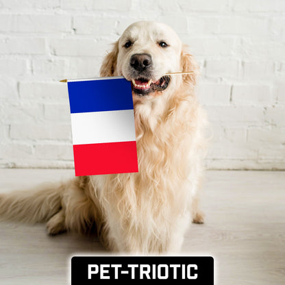 G128 12 Pack Handheld France French Stick Flags | 12x18 In | Printed 150D Polyester, Country Flag, Solid Wooden Stick, Spear Gold Tip