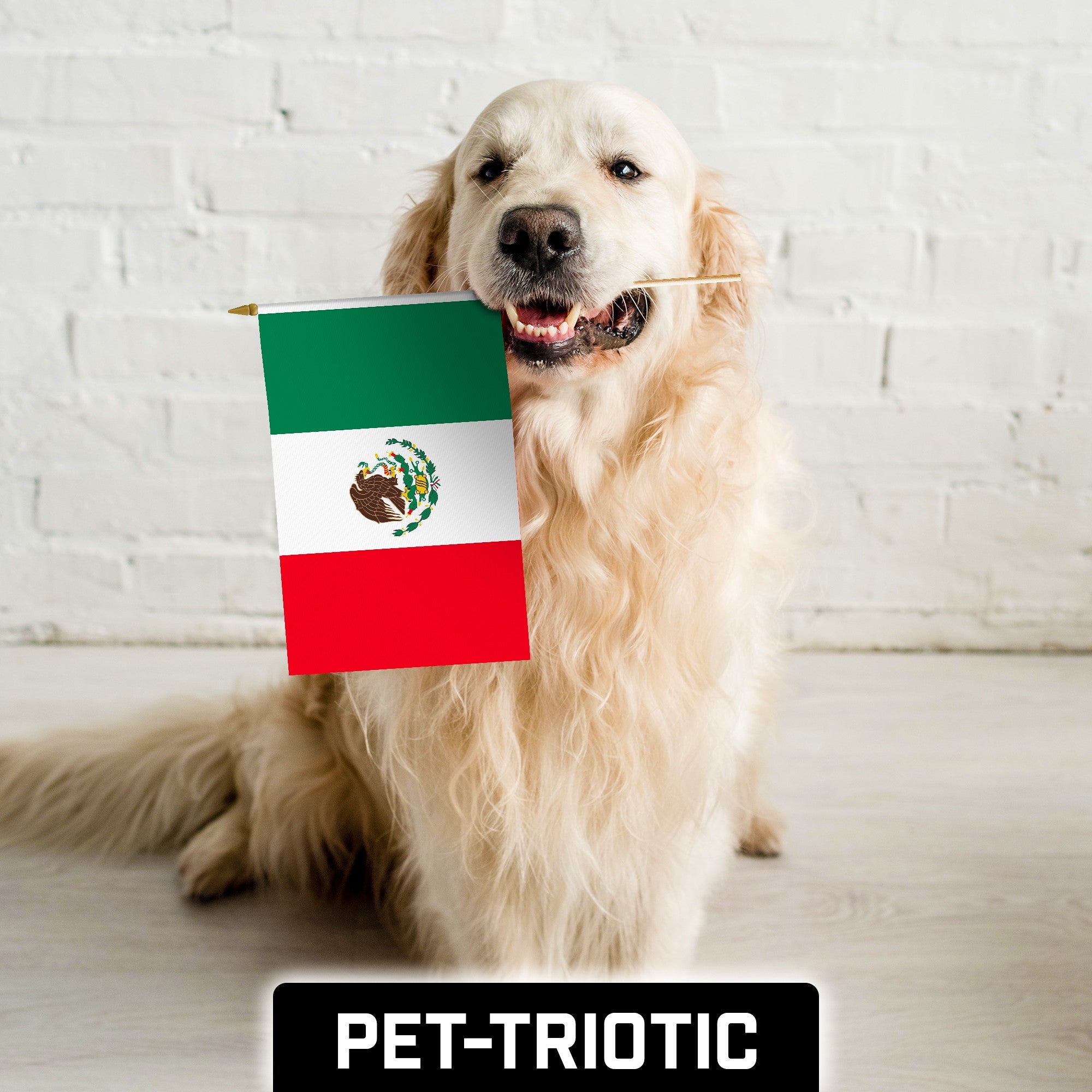 G128 24 Pack Handheld Mexico Mexican Stick Flags | 12x18 In | Printed 150D Polyester, Country Flag, Solid Wooden Stick, Spear Gold Tip