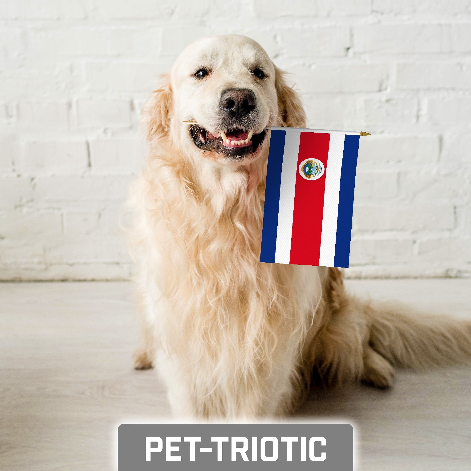 G128 24 Pack Handheld Costa Rica Costa Rican Stick Flags | 8x12 In | Printed 150D Polyester, Country Flag, Solid Wooden Stick, Spear Gold Tip