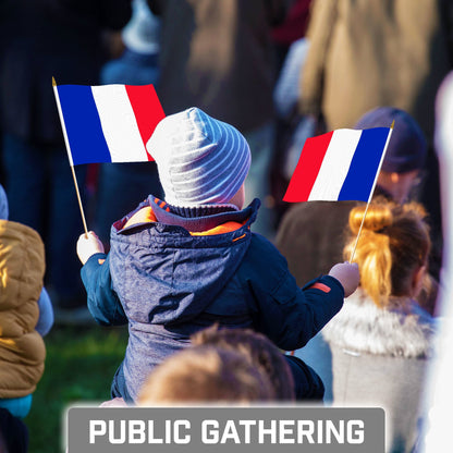 G128 30 Pack Handheld France French Stick Flags | 8x12 In | Printed 150D Polyester, Country Flag, Solid Wooden Stick, Spear Gold Tip