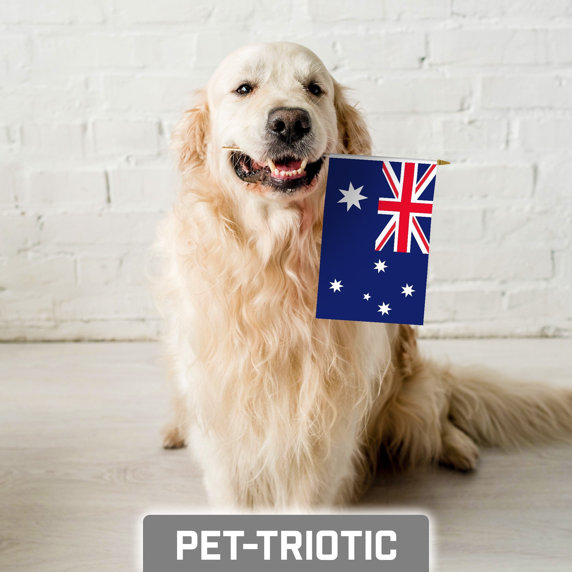 24 Pack Handheld Australia Australian Stick Flags | 8x12 In | Printed 150D Polyester, Country Flag, Solid Wooden Stick, Spear Gold Tip