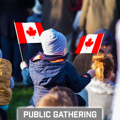 G128 30 Pack Handheld Canada Canadian Stick Flags | 8x12 In | Printed 150D Polyester, Country Flag, Solid Wooden Stick, Spear Gold Tip