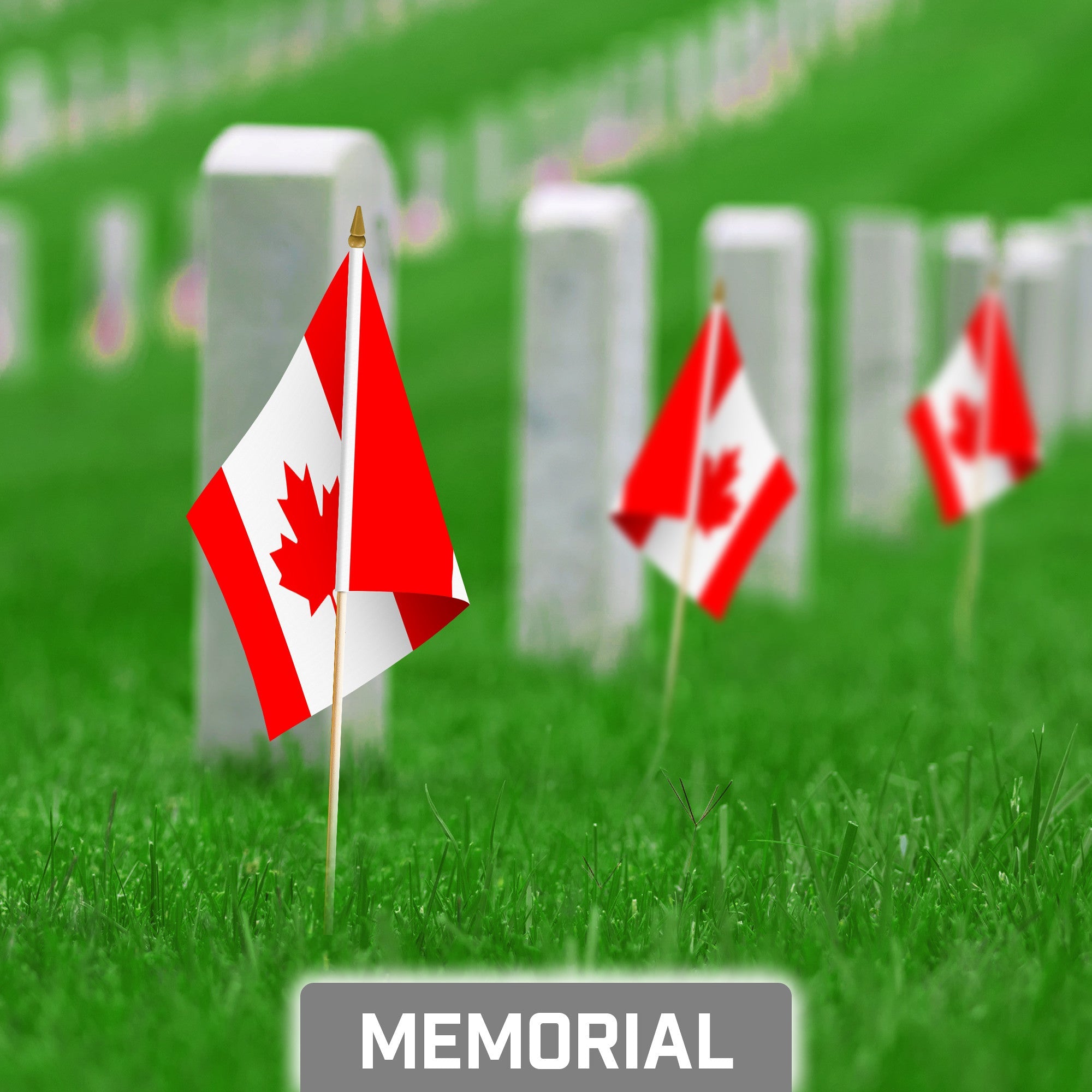 G128 30 Pack Handheld Canada Canadian Stick Flags | 8x12 In | Printed 150D Polyester, Country Flag, Solid Wooden Stick, Spear Gold Tip