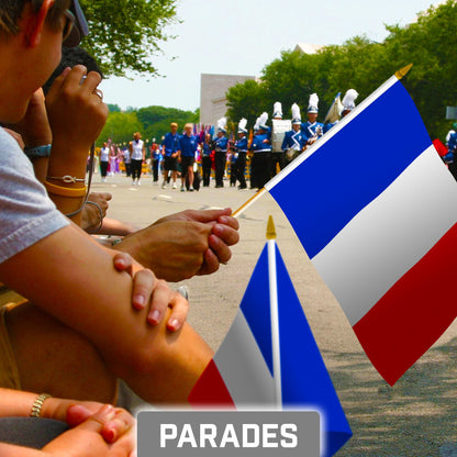 G128 12 Pack Handheld France French Stick Flags | 8x12 In | Printed 150D Polyester, Country Flag, Solid Wooden Stick, Spear Gold Tip