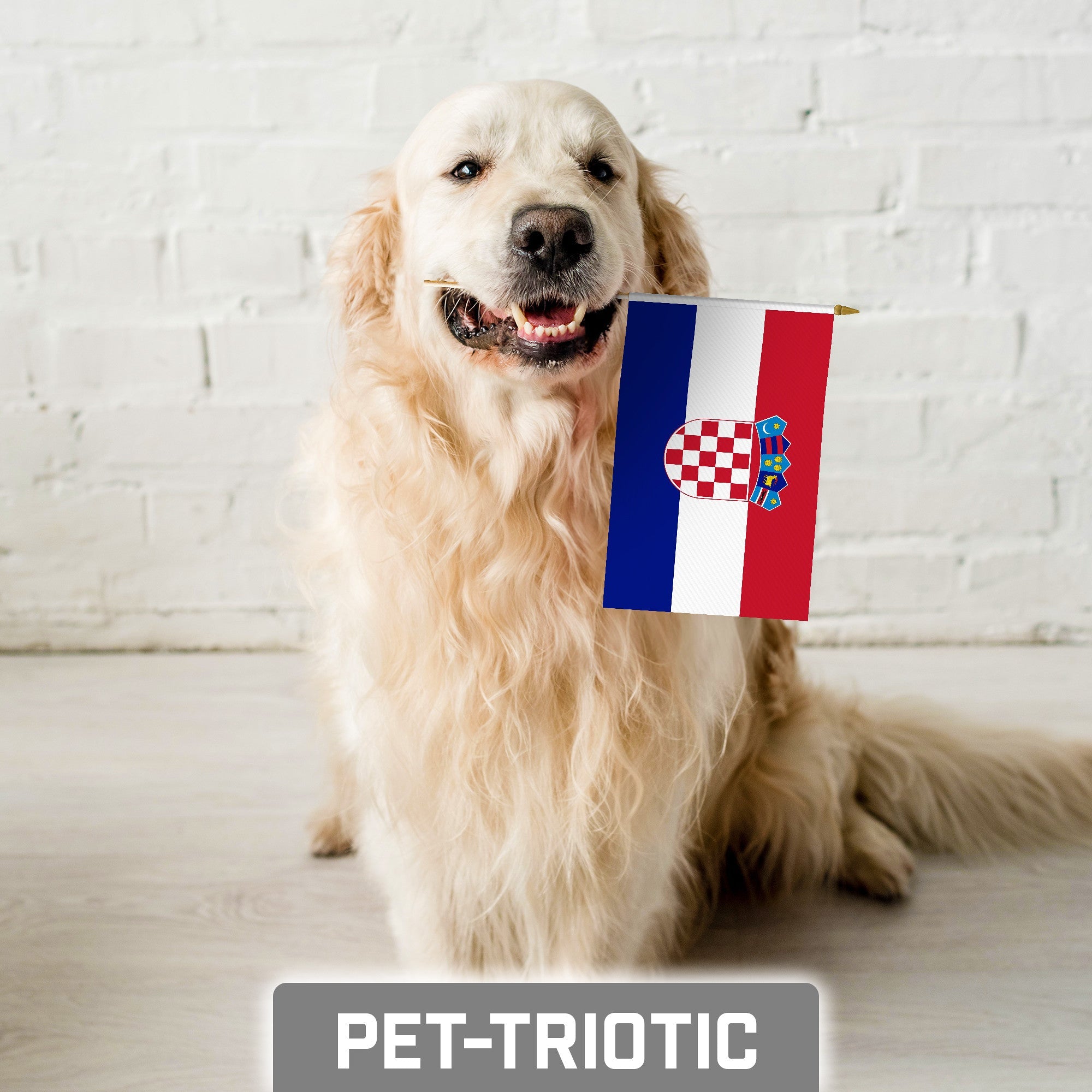 G128 12 Pack Handheld Croatia Croatian Stick Flags | 8x12 In | Printed 150D Polyester, Country Flag, Solid Wooden Stick, Spear Gold Tip