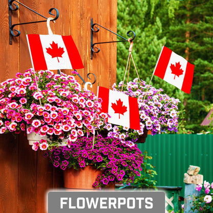 G128 30 Pack Handheld Canada Canadian Stick Flags | 8x12 In | Printed 150D Polyester, Country Flag, Solid Wooden Stick, Spear Gold Tip