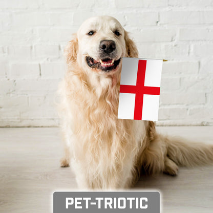 G128 30 Pack Handheld England English Stick Flags | 8x12 In | Printed 150D Polyester, Country Flag, Solid Wooden Stick, Spear Gold Tip