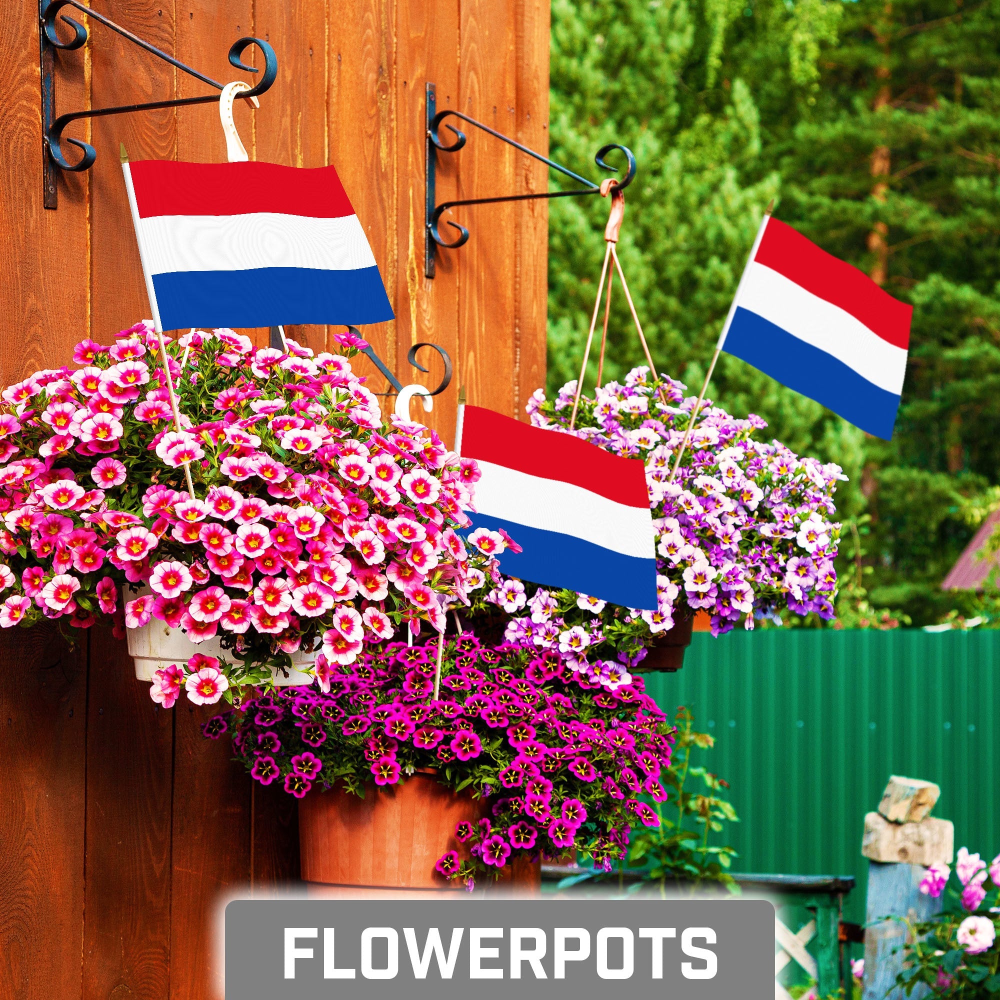 G128 30 Pack Handheld Netherlands Dutch Stick Flags | 8x12 In | Printed 150D Polyester, Country Flag, Solid Wooden Stick, Spear Gold Tip