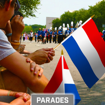 G128 30 Pack Handheld Netherlands Dutch Stick Flags | 8x12 In | Printed 150D Polyester, Country Flag, Solid Wooden Stick, Spear Gold Tip