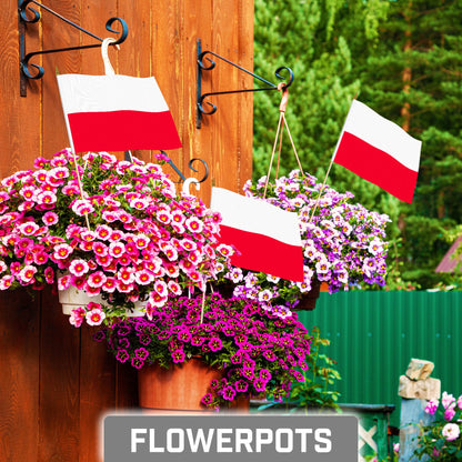 G128 50 Pack Handheld Poland Polish Stick Flags | 8x12 In | Printed 150D Polyester, Country Flag, Solid Wooden Stick, Spear Gold Tip