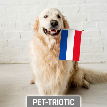 G128 24 Pack Handheld Netherlands Dutch Stick Flags | 8x12 In | Printed 150D Polyester, Country Flag, Solid Wooden Stick, Spear Gold Tip
