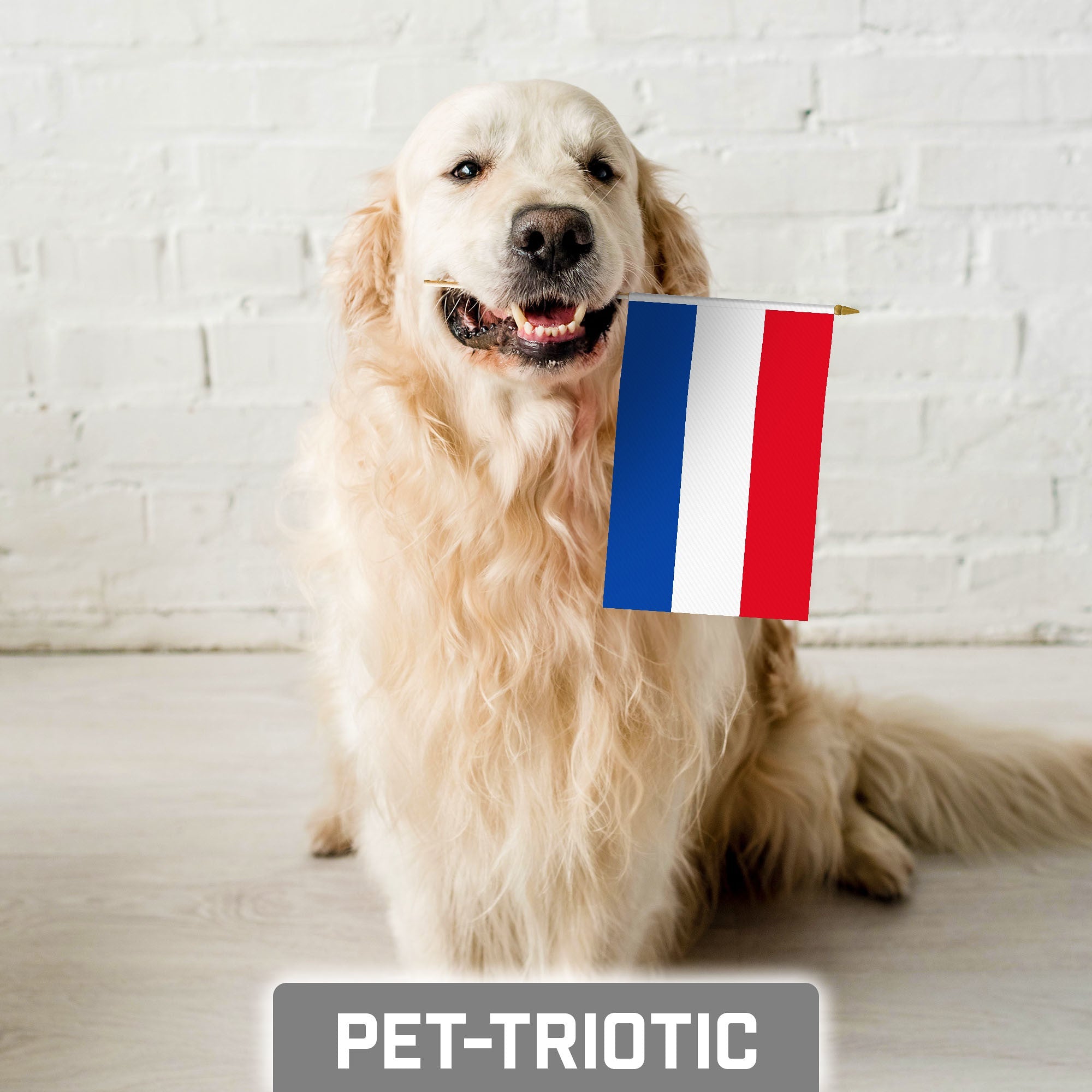 G128 30 Pack Handheld Netherlands Dutch Stick Flags | 8x12 In | Printed 150D Polyester, Country Flag, Solid Wooden Stick, Spear Gold Tip