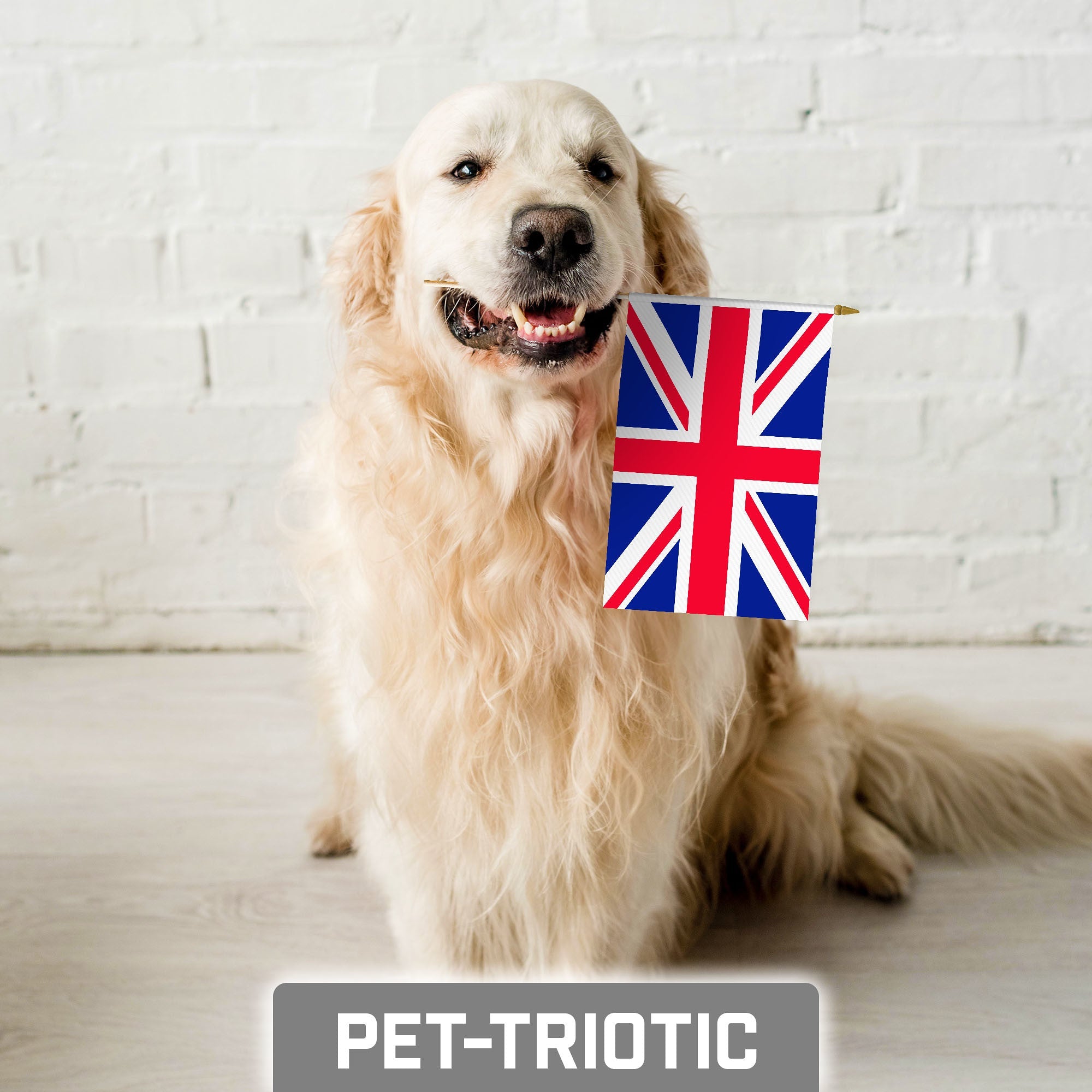 G128 30 Pack Handheld United Kingdom UK Stick Flags | 8x12 In | Printed 150D Polyester, Country Flag, Solid Wooden Stick, Spear Gold Tip